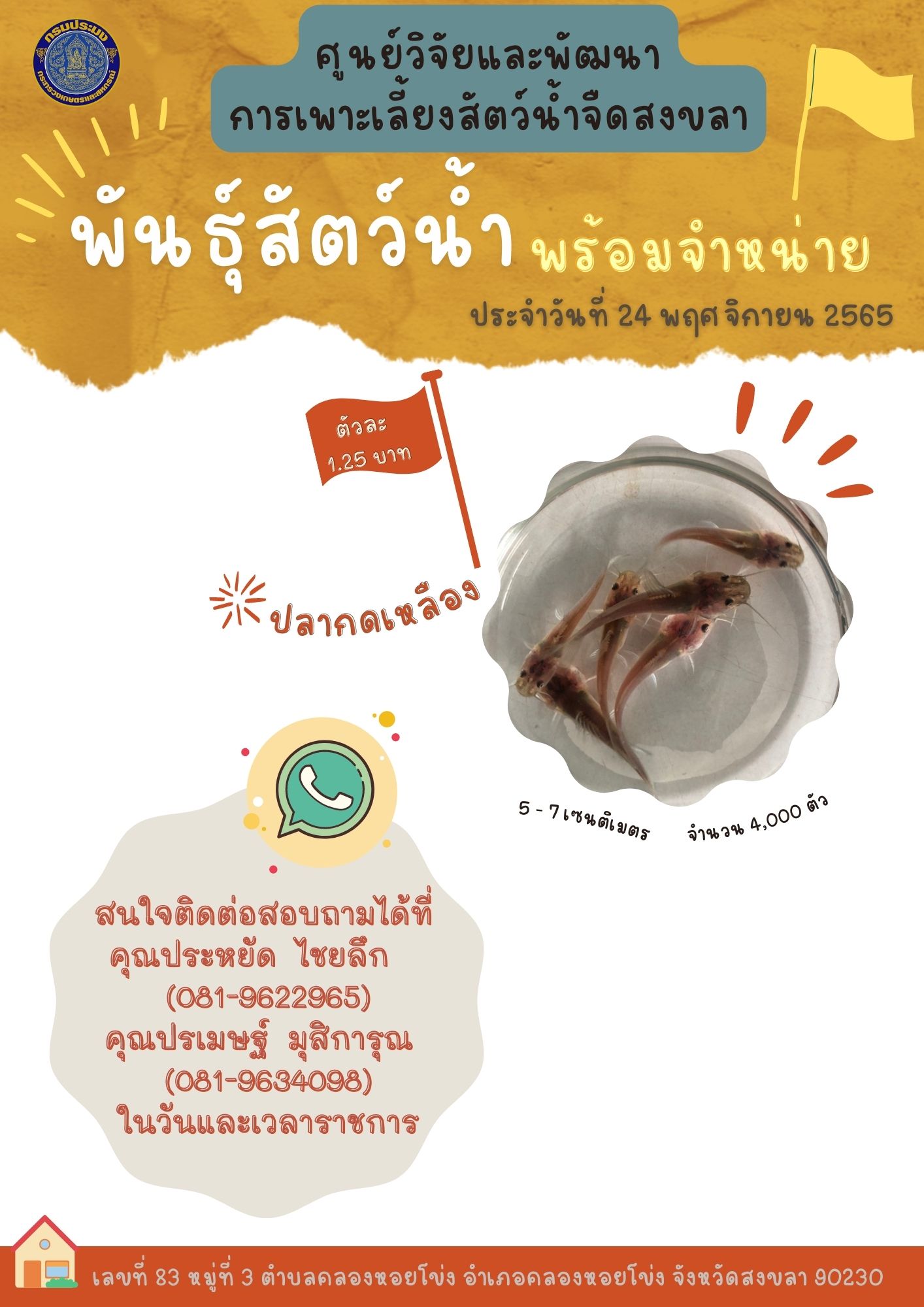 พันธุ์สัตว์น้ำพร้อมจำหน่าย