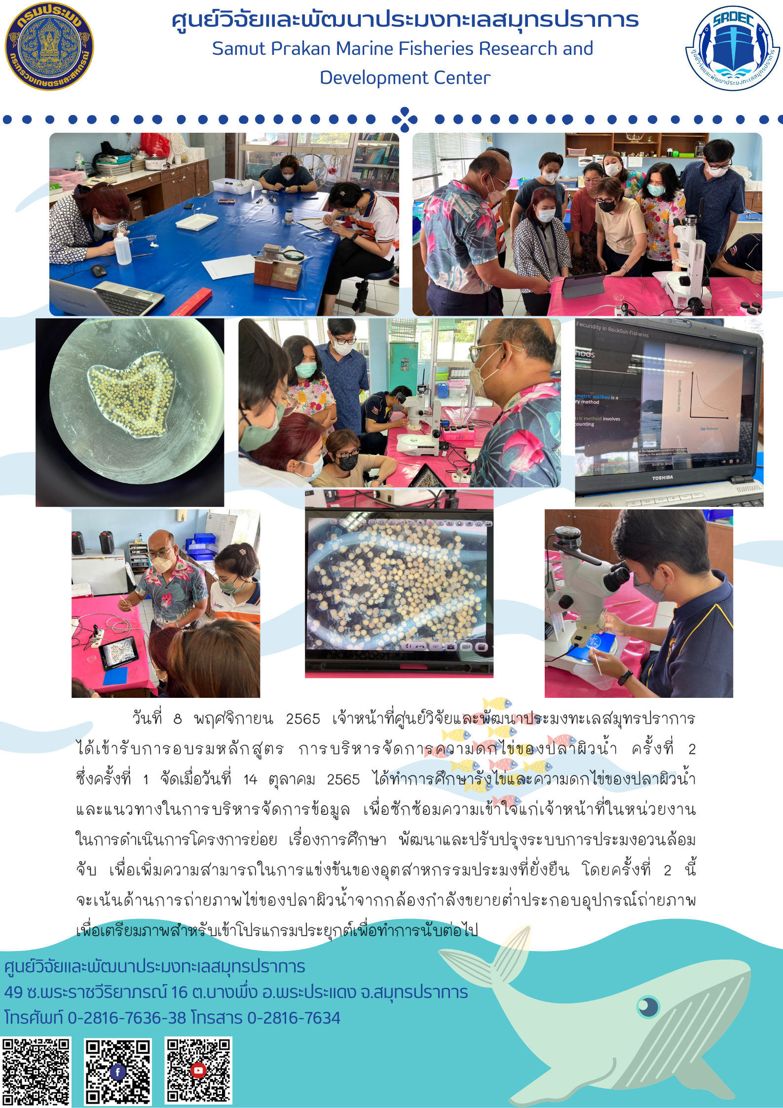 เจ้าหน้าที่ศูนย์วิจัยและพัฒนาประมงทะเลสมุทรปราการ ได้เข้ารับการอบรมหลักสูตร การบริหารจัดการความดกไข่ของปลาผิวน้ำ..คลิก