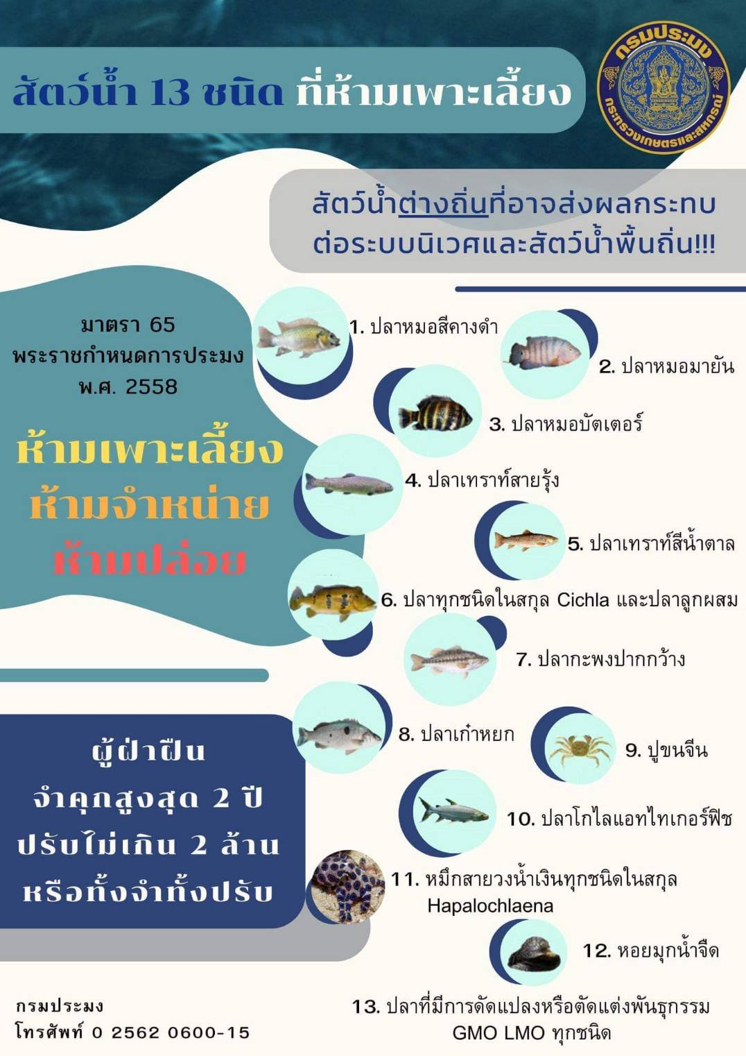 สัตว์น้ำ 13 ชนิด ที่ห้ามเพาะเลี้ยง..คลิก