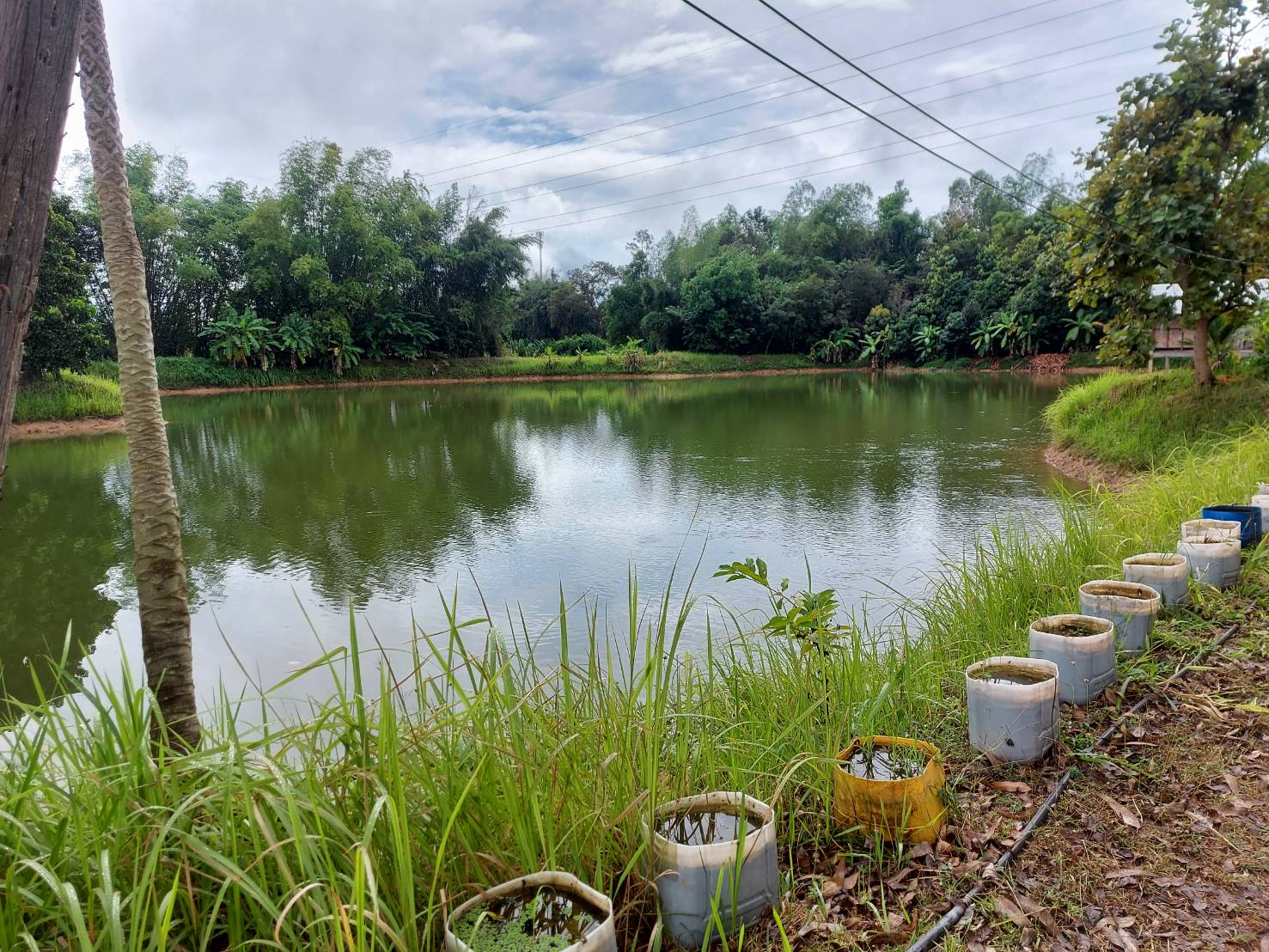 ประมงอำเภอนาแก ออกติดตามเยี่ยมเยียนการดำเนินงานและชี้แจงการเบิกจ่ายงบอุดหนุนเพื่อพัฒนาแปลงเรียนรู้ด้านการประมง ของศูนย์เรียนรู้การเพิ่มประสิทธิภาพการผลิตสินค้าเกษตรประจำอำเภอนาแก (ศูนย์หลัก) ปีงบประมาณ 2566..คลิก