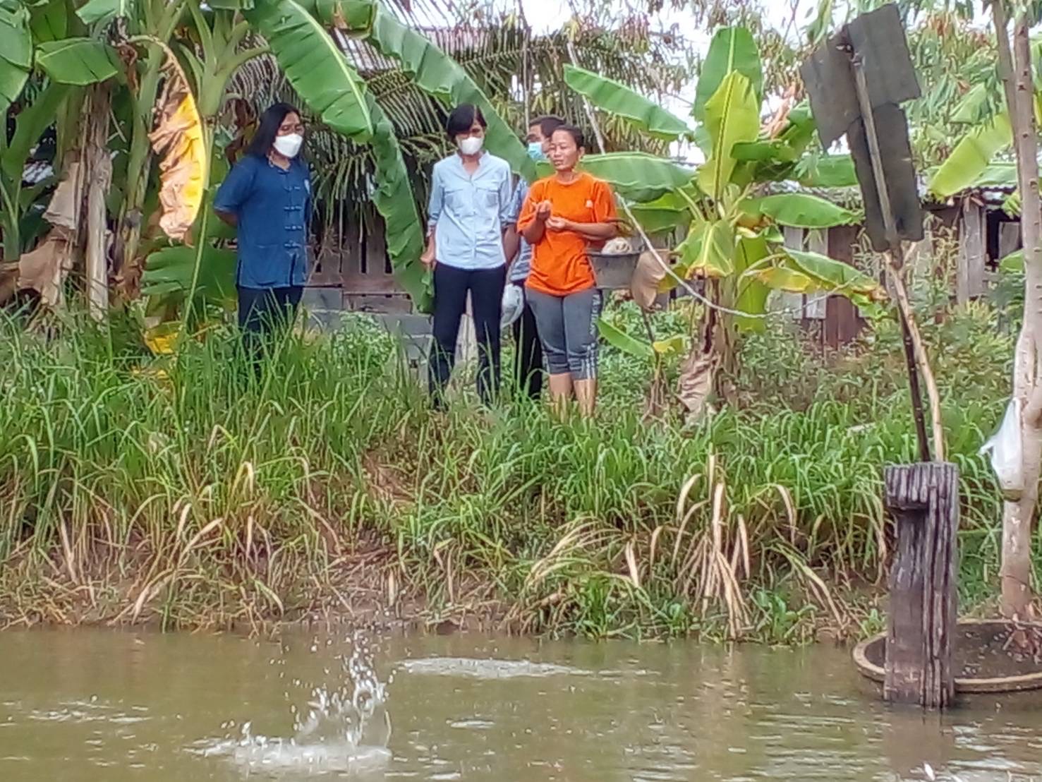 เตรียมความพร้อมเข้าร่วมโครงการพัฒนาอาชีพด้านการพัฒนาสัตว์น้ำเศรษฐกิจที่มีความสำคัญทางเศรษฐกิจ (ปลาเทโพ)..คลิก