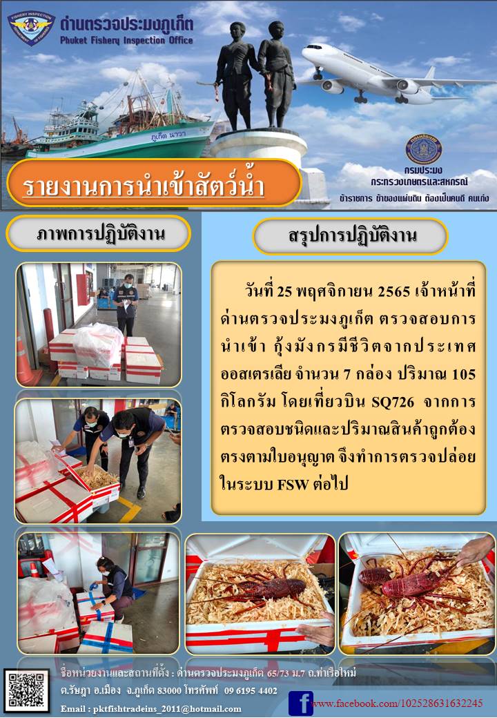 วันที่ 25 พฤศจิกายน 2565 เจ้าหน้าที่ด่านตรวจประมงภูเก็ต ตรวจสอบการนำเข้ากุ้งมังกรมีชีวิต จำนวน 7 กล่อง ปริมาณ 105 กิโลกรัม จากประเทศออสเตรเลีย เที่ยวบิน SQ726 จากการตรวจสอบชนิดและปริมาณสินค้าถูกต้องตรงตามใบอนุญาต จึงทำการตรวจปล่อยในระบบ FSW ต่อไป..คลิก