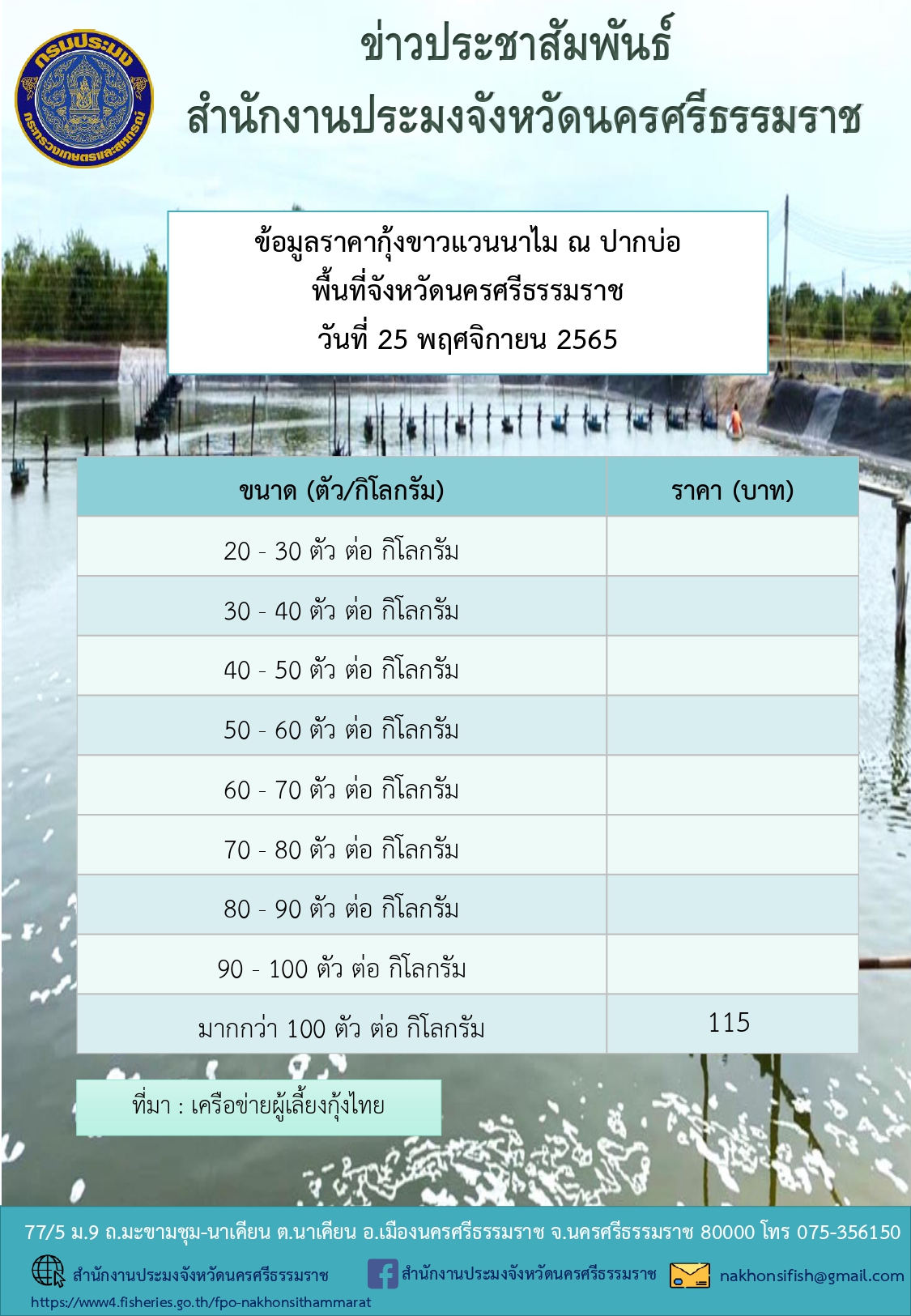 ราคากุ้งขาวแวนนาไม ณ ปากบ่อ พื้นที่จังหวัดนครศรีธรรมราช วันที่ 25 พฤศจิกายน 2565