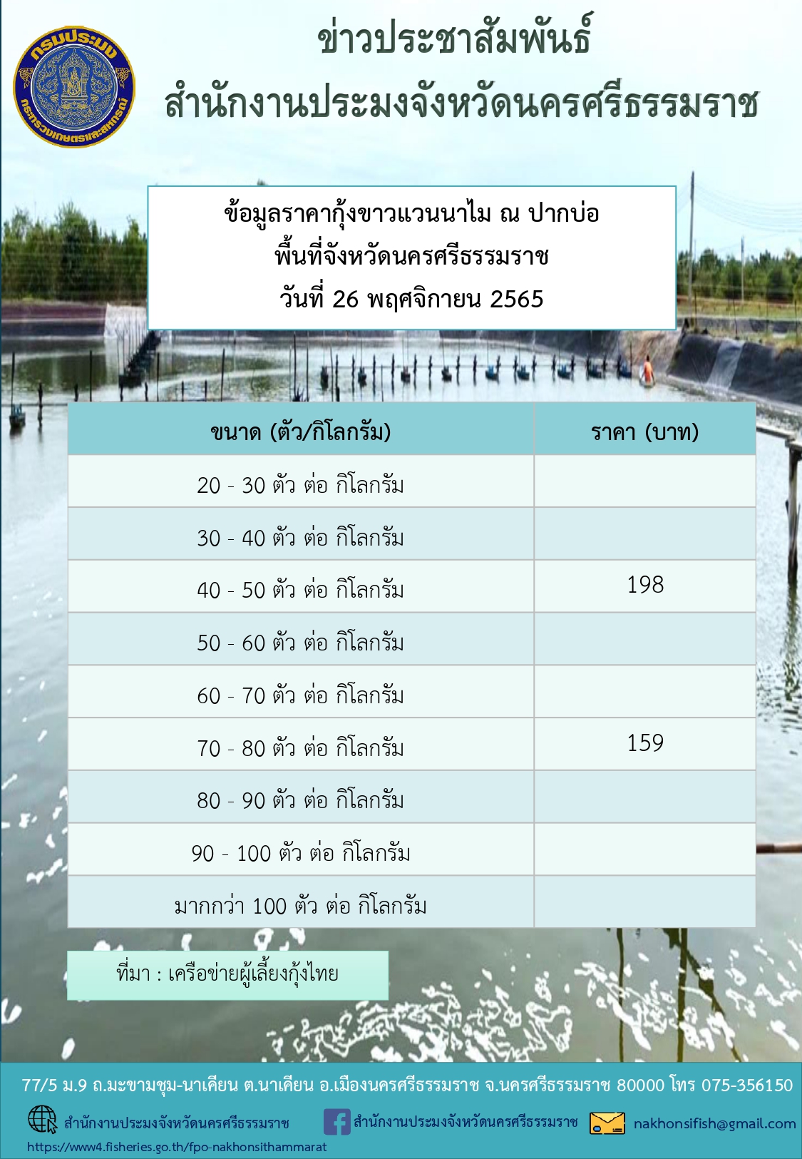 ราคากุ้งขาวแวนนาไม ณ ปากบ่อ พื้นที่จังหวัดนครศรีธรรมราช วันที่ 26 พฤศจิกายน 2565