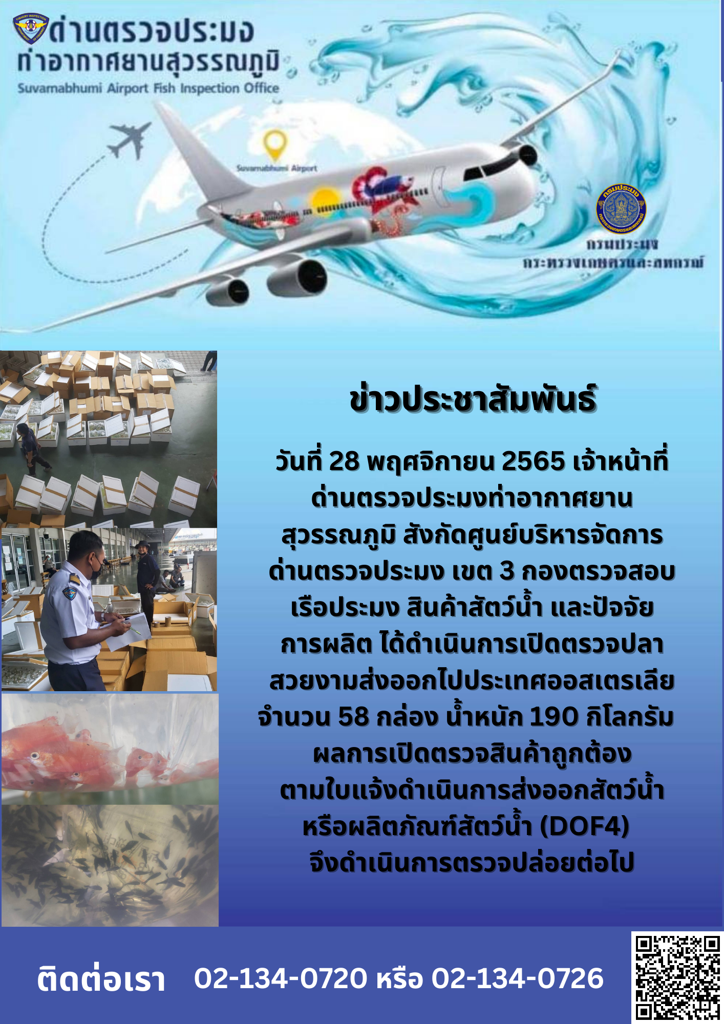 เปิดตรวจสินค้าสัตว์น้ำสวยงามส่งออกไปประเทศออสเตรเลีย..คลิก