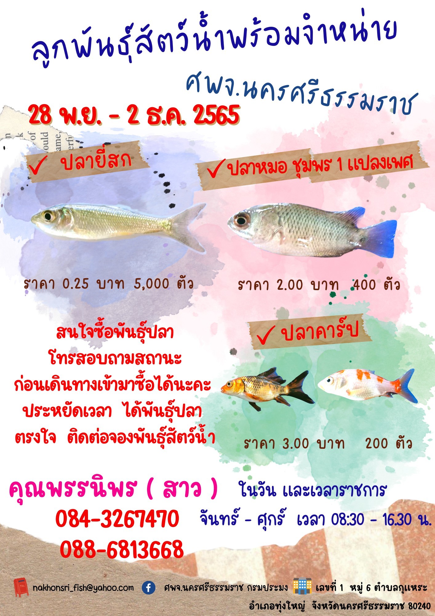 ลูกพันธุ์สัตว์น้ำพร้อมจำหน่าย..คลิก