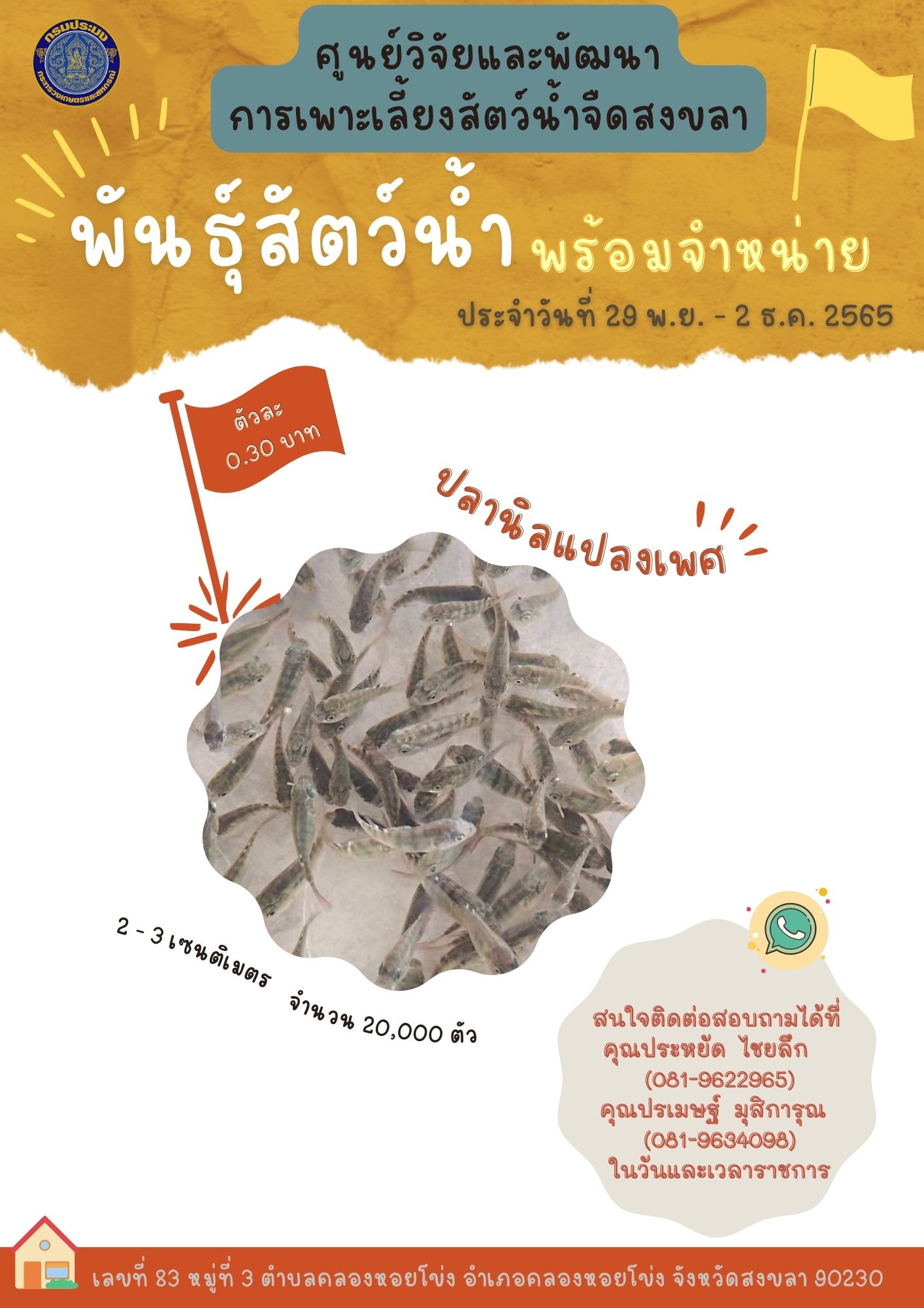 พันธุ์สัตว์น้ำพร้อมจำหน่าย