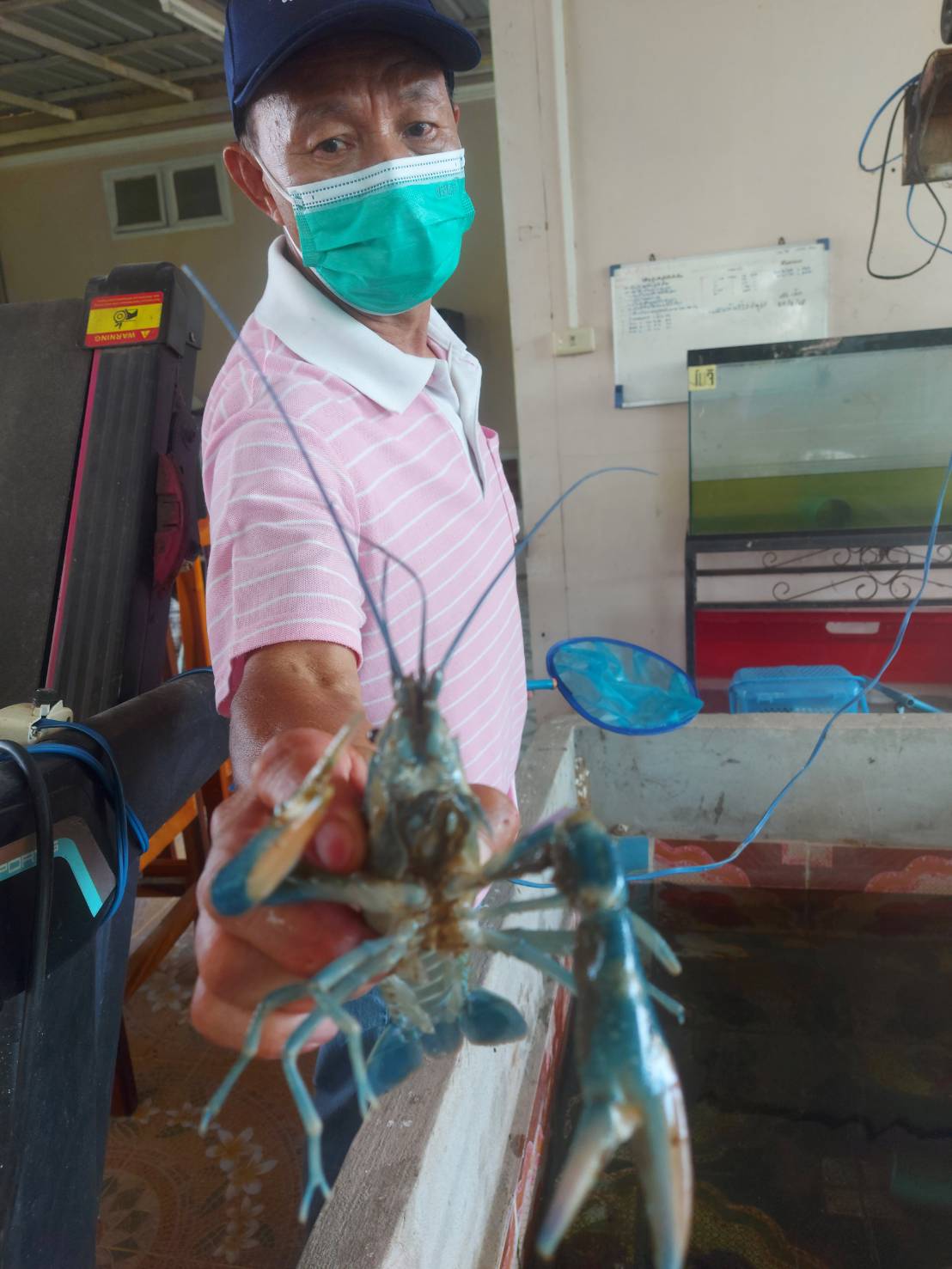 วันที่ 29 พฤศจิกายน 2565 ประมงอำเภอโนนสัง ออกตรวจสอบติดตามฟาร์มเพาะเลี้ยงกุ้งก้ามแดง  นายไพโรจน์ อินทร์แสง 134 ม.2 ต.โนนสัง อ.โนนสัง จังหวัดหนองบัวลำภู..คลิก