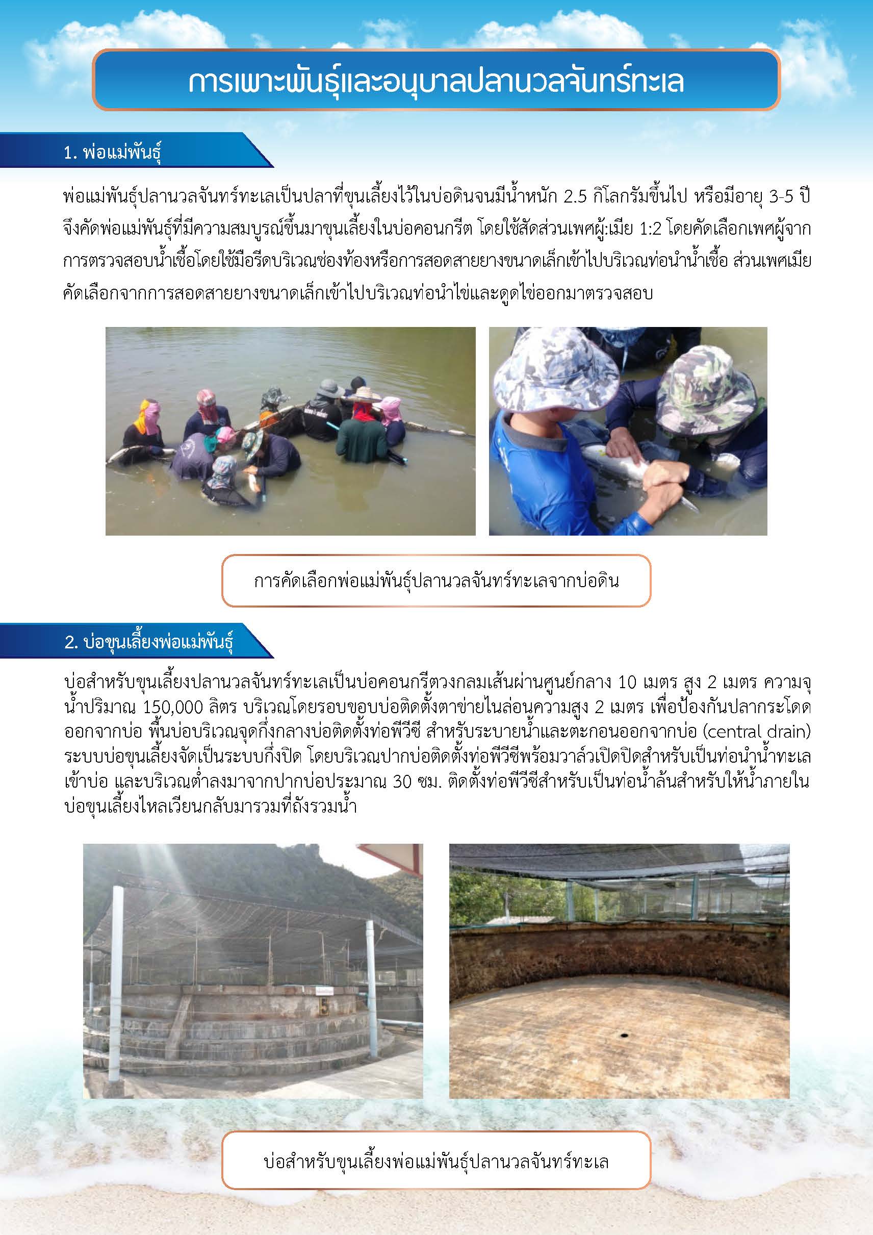 การเพาะพันธุ์และอนุบาลปลานวลจันทร์ทะเล