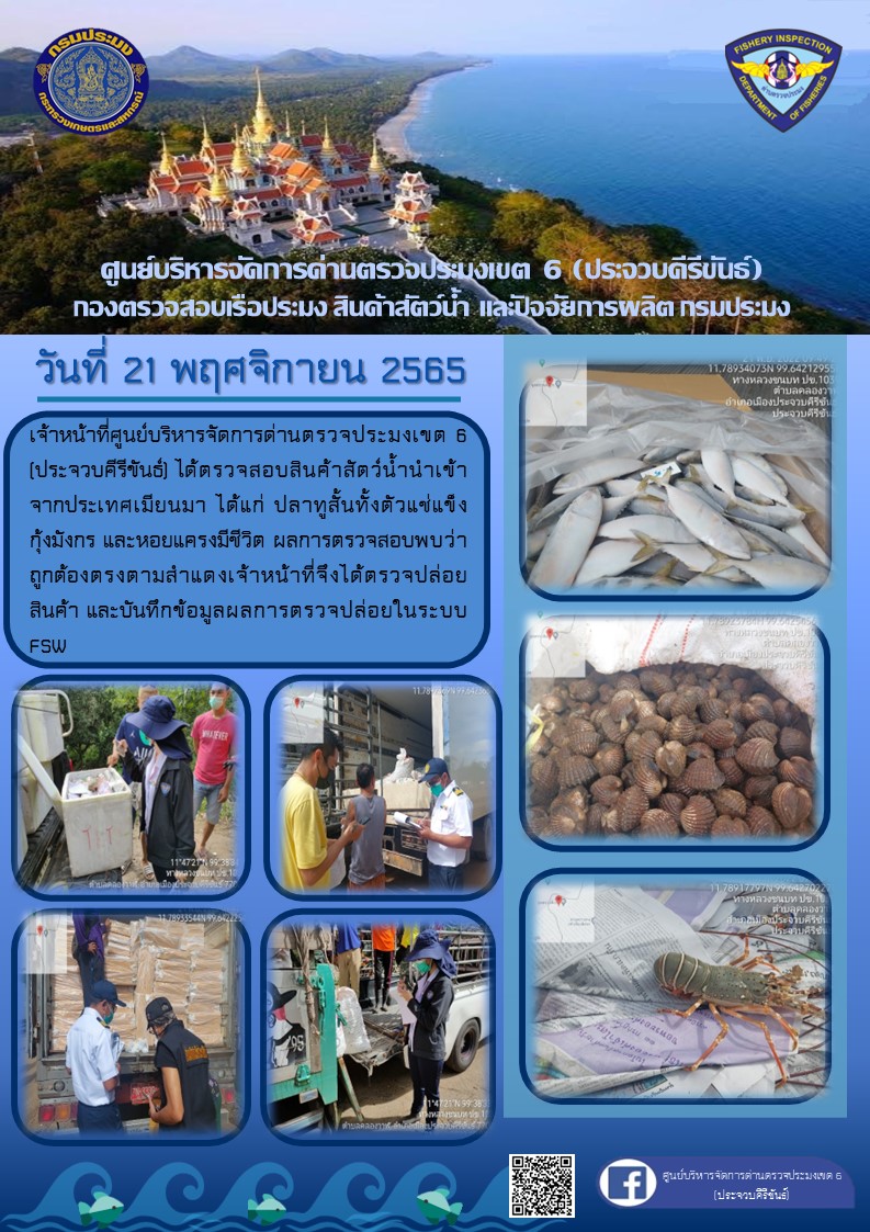ตรวจสอบสินค้าสัตว์น้ำนำเข้าจากประเทศเมียนมา..คลิก
