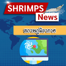 โนรู ถล่ม ฮอยอัน พื้นที่แถบนี้มีบ่อเลี้ยงกุ้งในปริมาณไม่น้อย