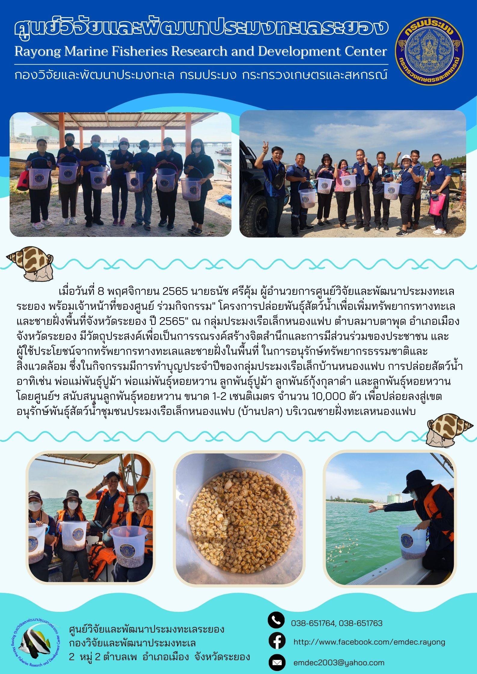 เมื่อวันที่ 8 พฤศจิกายน 2565 นายธนัช ศรีคุ้ม ผู้อำนวยการศูนย์วิจัยและพัฒนาประมงทะเลระยอง พร้อมเจ้าหน้าที่ของศูนย์ ร่วมกิจกรรม “โครงการปล่อยพันธุ์สัตว์น้ำเพื่อเพิ่มทรัพยากรทางทะเลและชายฝั่งพื้นที่จังหวัดระยอง ปี 2565” ณ กลุ่มประมงเรือเล็กหนองแฟบ ตำบลมาบตาพุด อำเภอเมือง จังหวัดระยอง มีวัตถุประสงค์เพื่อเป็นการรณรงค์สร้างจิตสำนึกและการมีส่วนร่วมของประชาชน และผู้ใช้ประโยชน์จากทรัพยากรทางทะเลและชายฝั่งในพื้นที่ในการอนุรักษ์ทรัพยากรธรรมชาติและสิ่งแวดล้อม ซึ่งในกิจกรรมมีการทำบุญประจำปีของกลุ่มประมงเรือเล็กบ้านบ้านหนองแฟบ การปล่อยสัตว์น้ำ อาทิเช่น พ่อแม่พันธุ์ปูม้า พ่อพันธุ์หอยหวาน ลูกพันธุ์ปูม้า ลูกพันธุ์กุ้งกุลาดำ และลูกพันธุ์หอยหวาน โดยศูนย์ฯ สนับสนุนลูกพันธุ์หอยหวาน ขนาด 1-2 เซนติเมตร จำนวน 10,000 ตัว เพื่อปล่อยลงสู่เขตอนุรักษ์พันธุ์สัตว์น้ำชุมชนประมงเรือเล็กหนองแฟบ  (บ้านปลา) บริเวณชายฝั่งทะเลหนองแฟบ..คลิก
