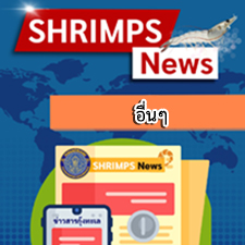 อุปทานกุ้งเลี้ยงยังคงต่ำตามฤดูกาลของประเทศในแถบอเมริกาใต้และเอเชียตะวันออกเฉียงใต้ ยกเว้นประเทศอินโดนีเซียในช่วงไตรมาสแรกของปี