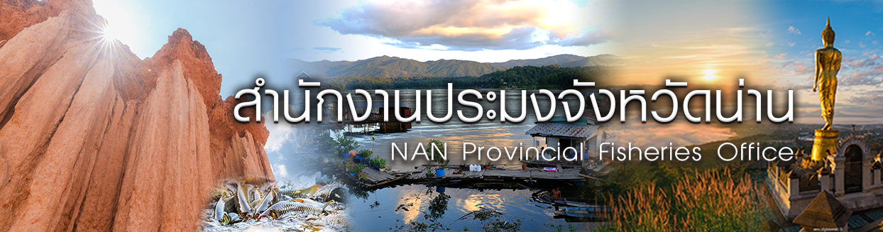 แบนเนอร์..คลิก