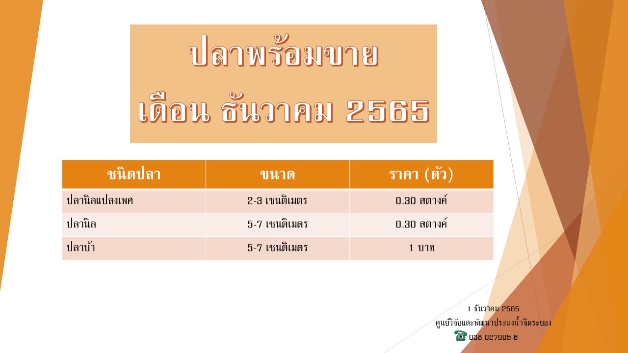 ปลาพร้อมขาย วันที่ 1 ธันวาคม 2565..คลิก