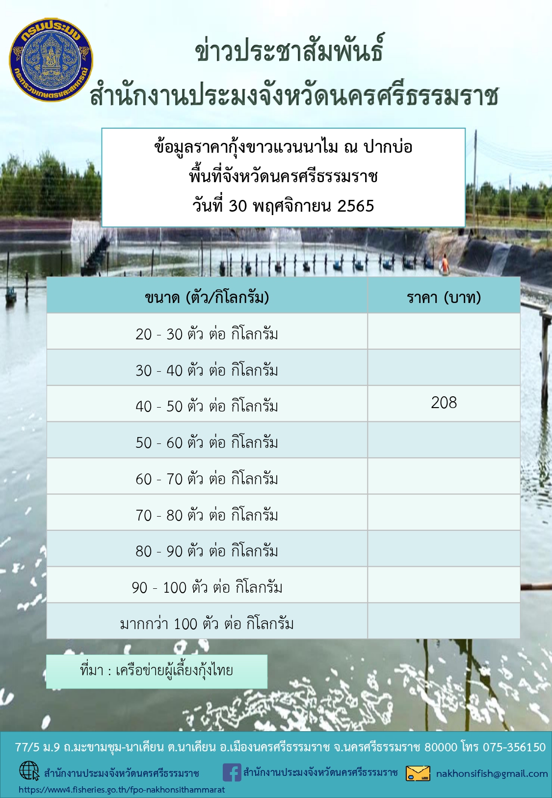 ราคากุ้งขาวแวนนาไม ณ ปากบ่อ พื้นที่จังหวัดนครศรีธรรมราช วันที่ 30 พฤศจิกายน 2565