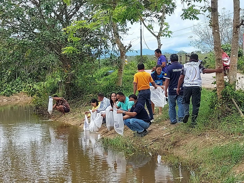 สนับสนุนพันธุ์ปลากินพืช เพื่อปล่อยลงสู่แหล่งน้ำห้วยวังยาง อ.เขาชัยสน จ.พัทลุง..คลิก