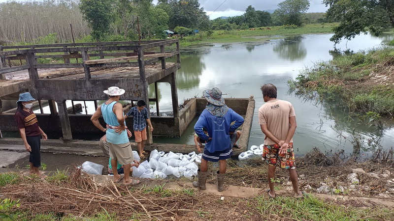 สนับสนุนพันธุ์ปลากินพืช เพื่อปล่อยลงสู่แหล่งน้ำบ้านเกาะแตระ อ.เมือง จ.พัทลุง..คลิก