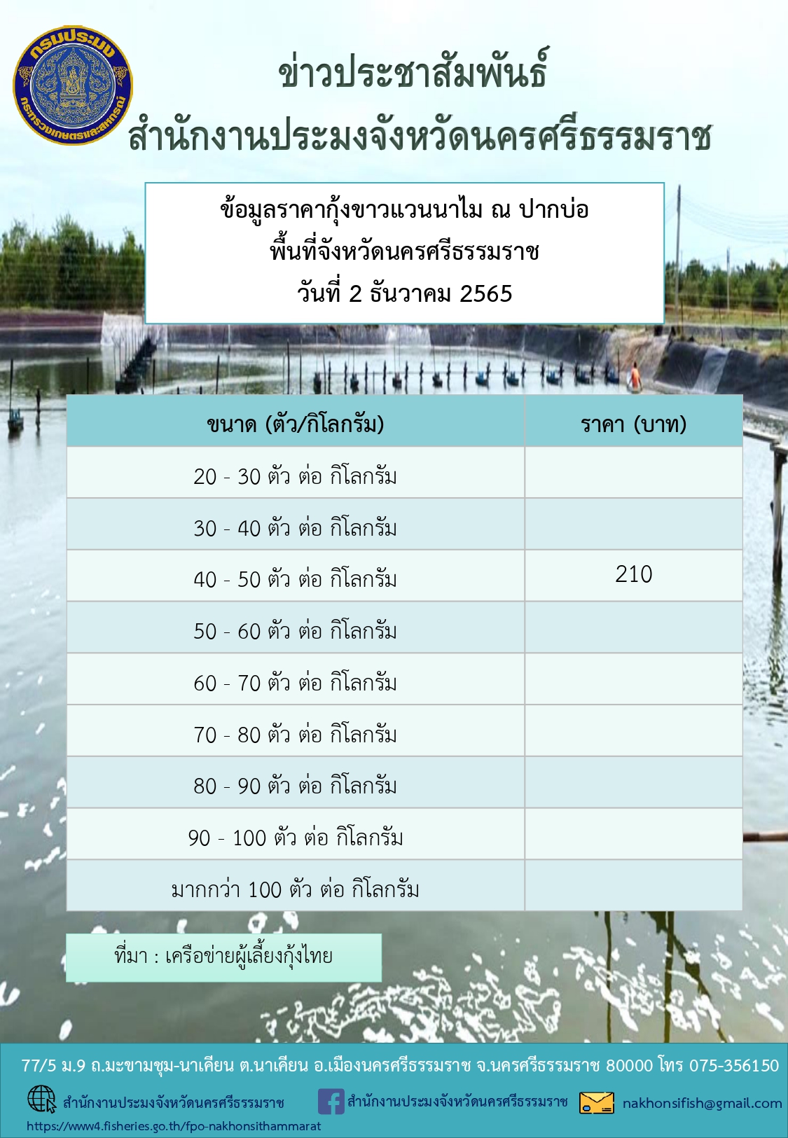 ราคากุ้งขาวแวนนาไม ณ ปากบ่อ พื้นที่จังหวัดนครศรีธรรมราช วันที่ 2 ธันวาคม 2565