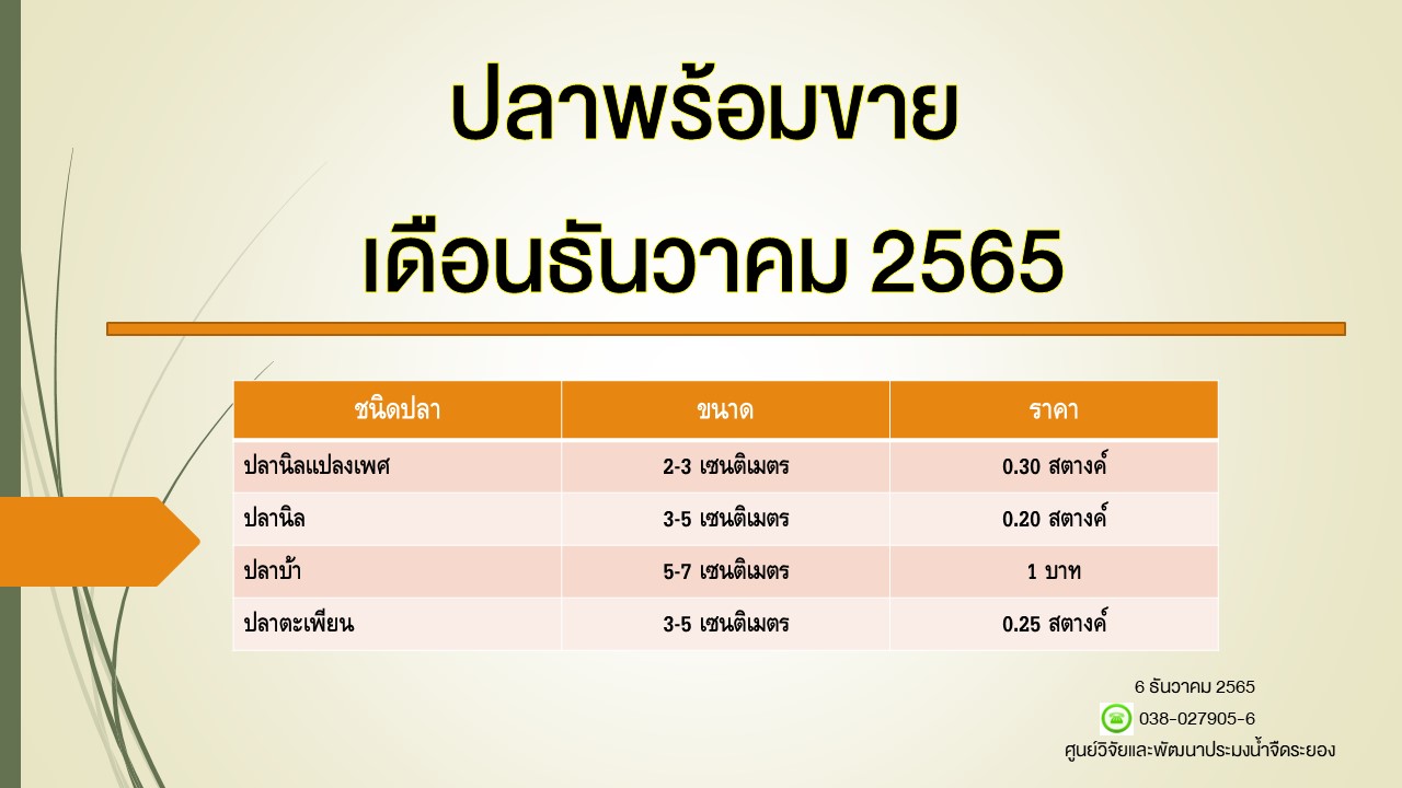 ปลาพร้อมขาย วันที่ 6 ธันวาคม 2565..คลิก