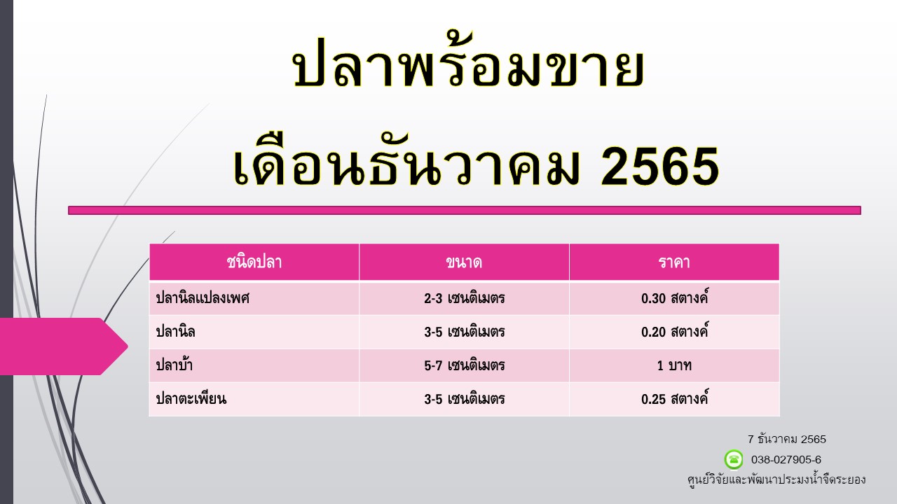ปลาพร้อมขาย วันที่ 7 ธันวาคม 2565..คลิก