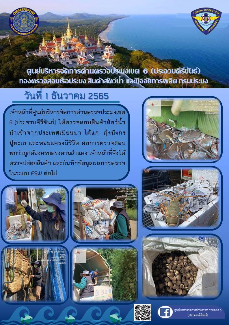ตรวจสอบสินค้าสัตว์น้ำนำเข้าจากประเทศเมียนมา..คลิก