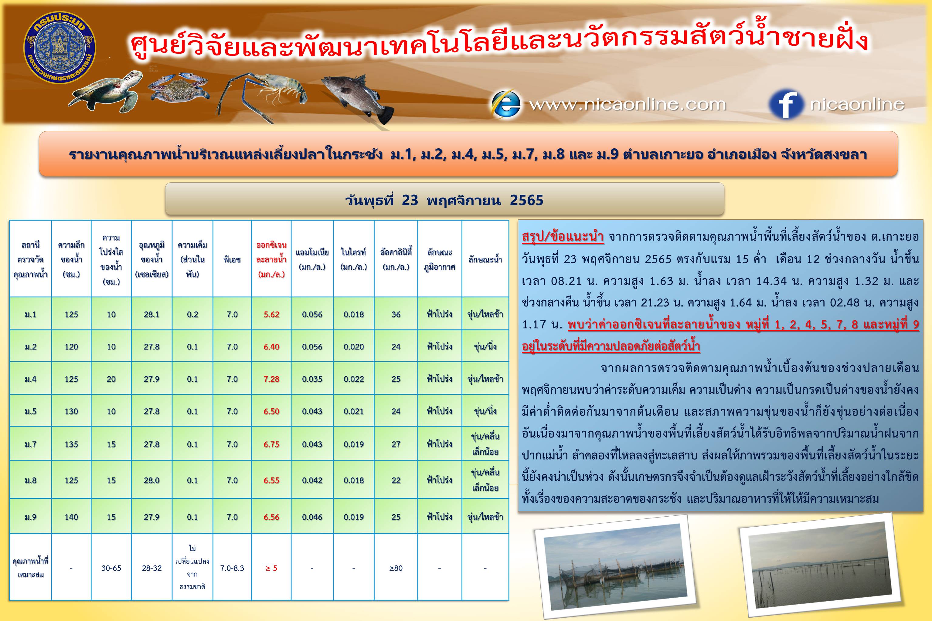 รายงานคุณภาพน้ำ ตำบลเกาะยอ อำเภอเมือง จังหวัดสงขลา 23 พฤศจิกายน 2565..คลิก