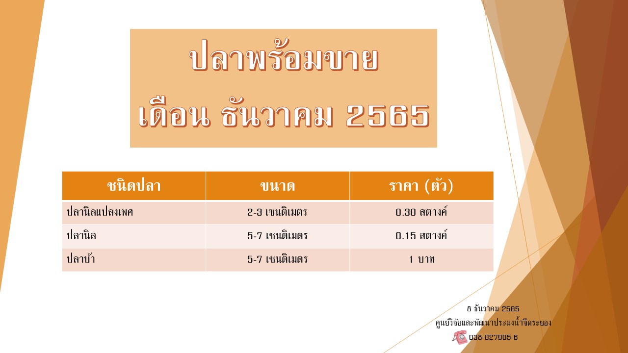 ปลาพร้อมขาย วันที่ 8 ธันวาคม 2565..คลิก