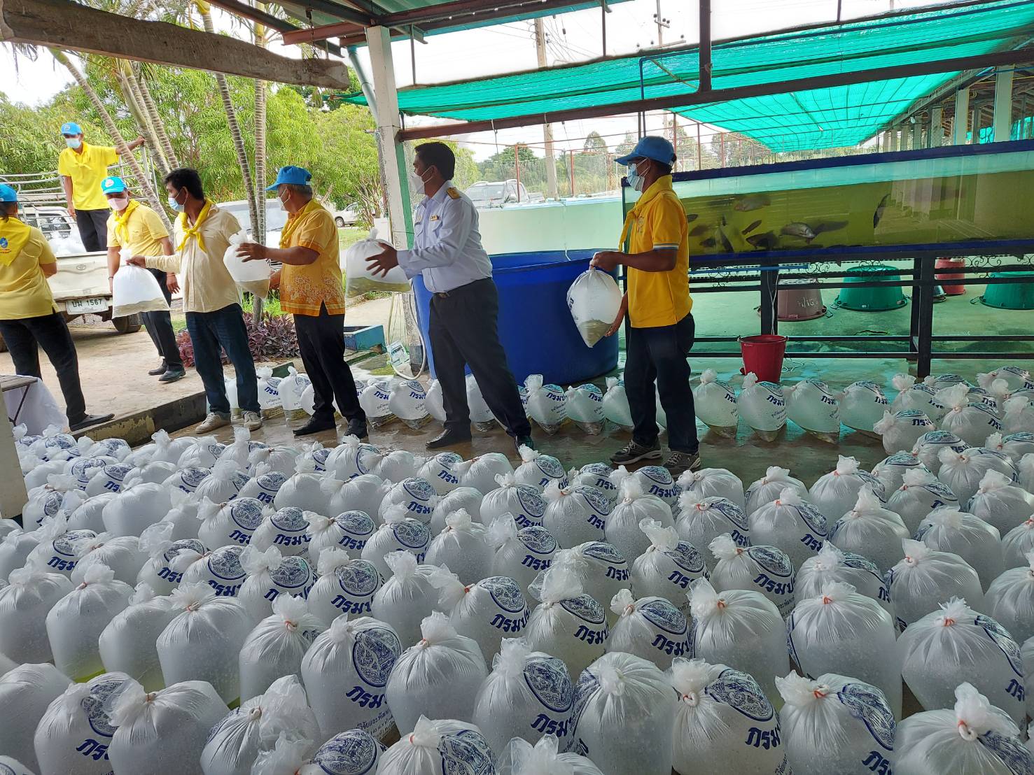 ลูกพันธุ์สัตว์น้ำพร้อมจำหน่าย ธันวาคม 2565
