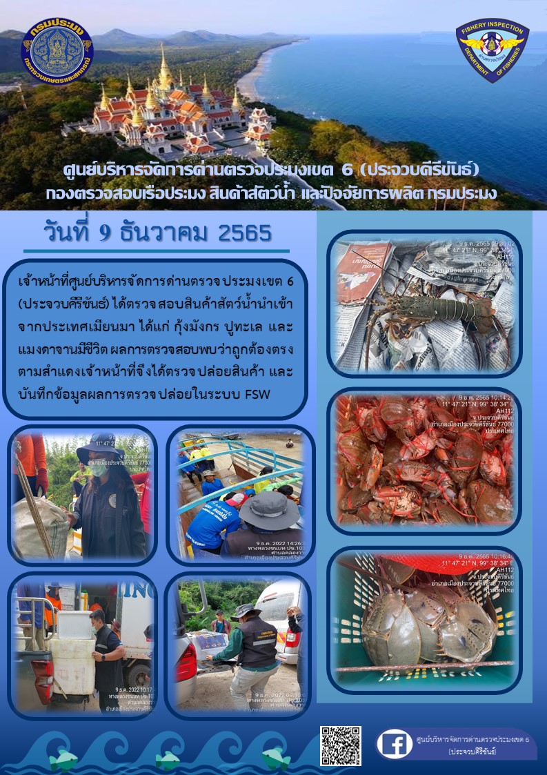ตรวจสอบสินค้าสัตว์น้ำนำเข้าจากประเทศเมียนมา..คลิก