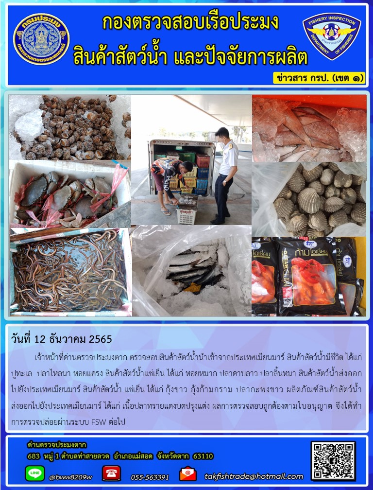 วันที่ 12 ธันวาคม 2565   	เจ้าหน้าที่ด่านตรวจประมงตาก ตรวจสอบสินค้าสัตว์น้ำนำเข้าจากประเทศเมียนมาร์ สินค้าสัตว์น้ำมีชีวิต ได้แก่  ปูทะเล  ปลาไหลนา หอยแครง สินค้าสัตว์น้ำแช่เย็น ได้แก่ หอยหมาก ปลาดาบลาว ปลาลิ้นหมา สินค้าสัตว์น้ำส่งออกไปยังประเทศเมียนมาร์ สินค้าสัตว์น้ำ แช่เย็น ได้แก่ กุ้งขาว กุ้งก้ามกราม ปลากะพงขาว ผลิตภัณฑ์สินค้าสัตว์น้ำส่งออกไปยังประเทศเมียนมาร์ ได้แก่ เนื้อปลาทรายแดงบดปรุงแต่ง ผลการตรวจสอบถูกต้องตามใบอนุญาต จึงได้ทำการตรวจปล่อยผ่านระบบ FSW ต่อไป..คลิก