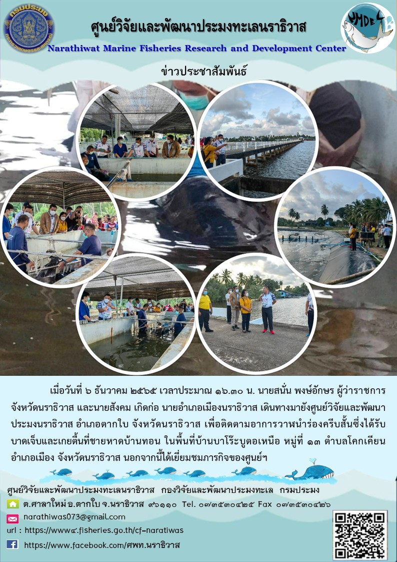 เมื่อวันที่ 6 ธันวาคม 2565 เวลาประมาณ 16.30 น. นายสนั่น พงษ์อักษร ผู้ว่าราชการจังหวัดนราธิวาส และนายสังคม เกิดก่อ นายอำเภอเมืองนราธิวาส เดินทางมายังศูนย์วิจัยและพัฒนาประมงนราธิวาส อำเภอตากใบ จังหวัดนราธิวาส เพื่อติดตามอาการวาฬนำร่องครีบสั้นซึ่งได้รับบาดเจ็บและเกยตื้นที่ชายหาดบ้านทอน ในพื้นที่บ้านบาโร๊ะบูตอเหนือ หมู่ที่ 13 ตำบลโคกเคียน อำเภอเมือง จังหวัดนราธิวาส นอกจากนี้ได้เยี่ยมชมภารกิจของศูนย์ฯ..คลิก