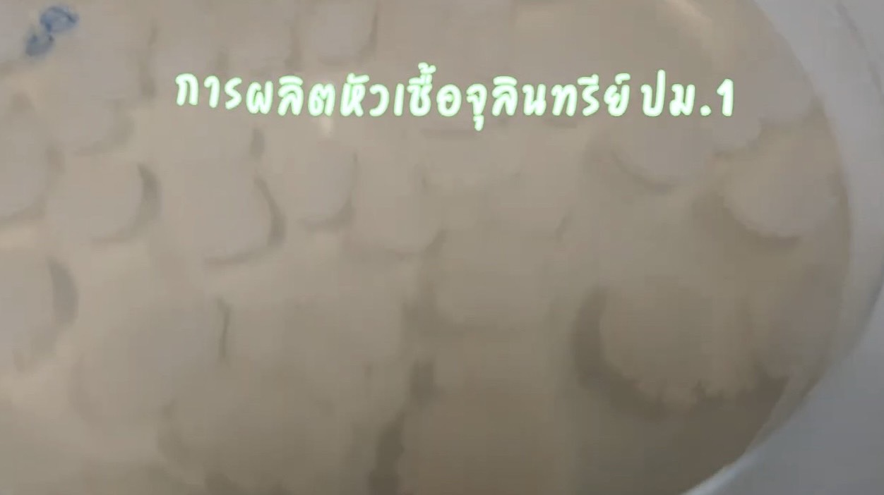 การผลิตหัวเชื้อจุลินทรีย์