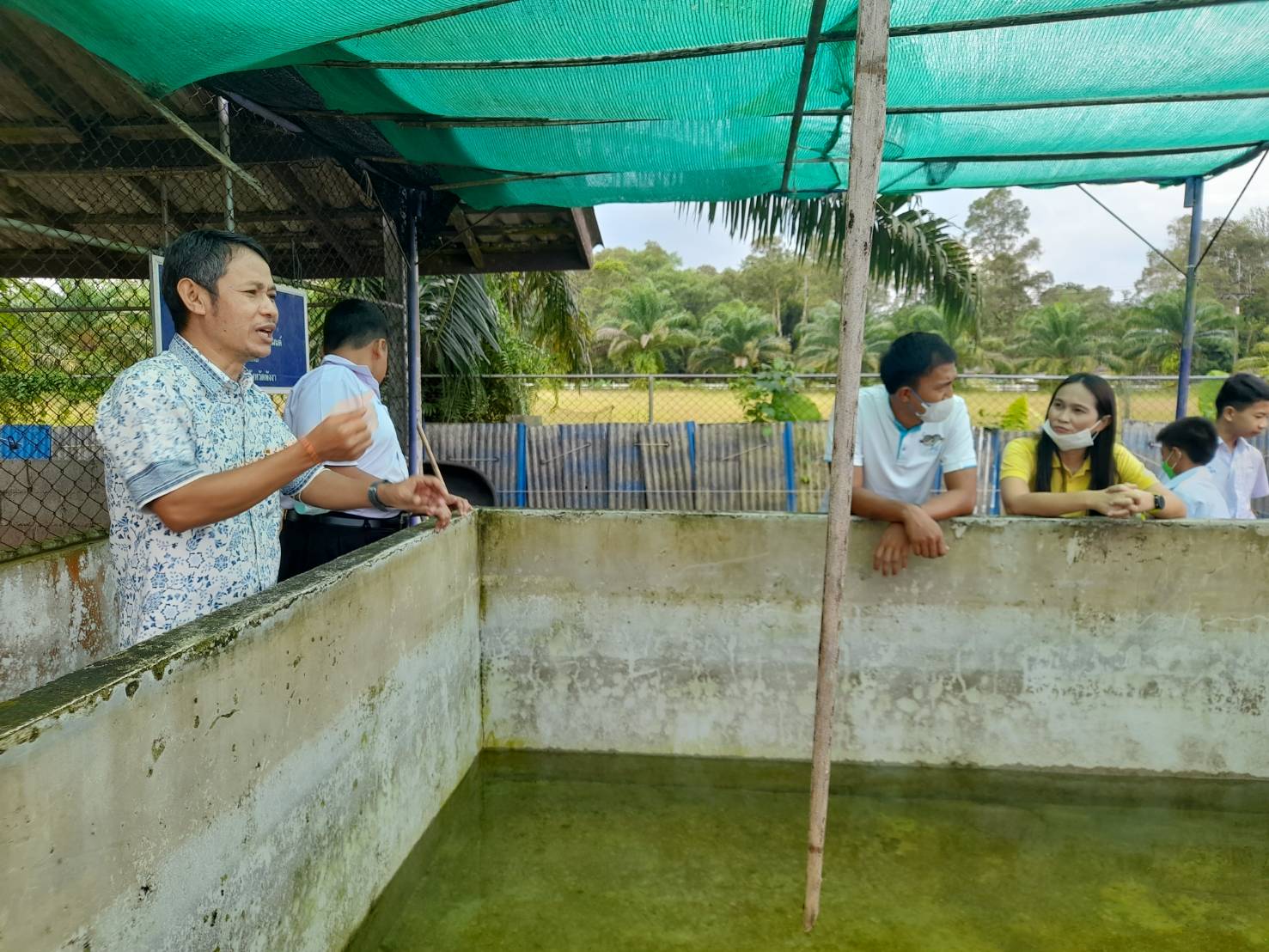 สำนักงานประมงจังหวัดพังงา โดย นายนิพนธ์ เสนอินทร์ หัวหน้ากลุ่มพัฒนาและส่งเสริมอาชีพการประมง พร้อมเจ้าหน้าที่ ลงพื้นที่ติดตามผลการดำเนินงานกิจกรรมการเลี้ยงปลาดุกบิ๊กอุยในบ่อซีเมนต์ ภายใต้โครงการส่งเสริมการดำเนินงานอันเนื่องมาจากพระราชดำริ สมเด็จพระกนิษฐาธิราชเจ้า กรมสมเด็จพระเทพรัตนราชสุดาฯ สยามบรมราชกุมารี (ประมงโรงเรียน) ประจำปีงบประมาณ พ.ศ. 2566 โดยได้ส่งมอบพันธุ์ปลาดุกบิ๊กอุยพร้อมอาหารแก่โรงเรียนพระราชทานทับละมุ ตำบลลำแก่น อำเภอท้ายเหมือง จังหวัดพังงา ทั้งนี้ ได้แนะนำเทคนิคการปรับอุณหภูมิน้ำก่อนปล่อยลูกปลาลงบ่อ วิธีการให้อาหารปลา วิธีลดความเครียดและรักษาแผลปลา เพื่อเสริมสร้างประสบการณ์จากการลงมือปฏิบัติจริงให้กับนักเรียนและครูผู้รับผิดชอบ