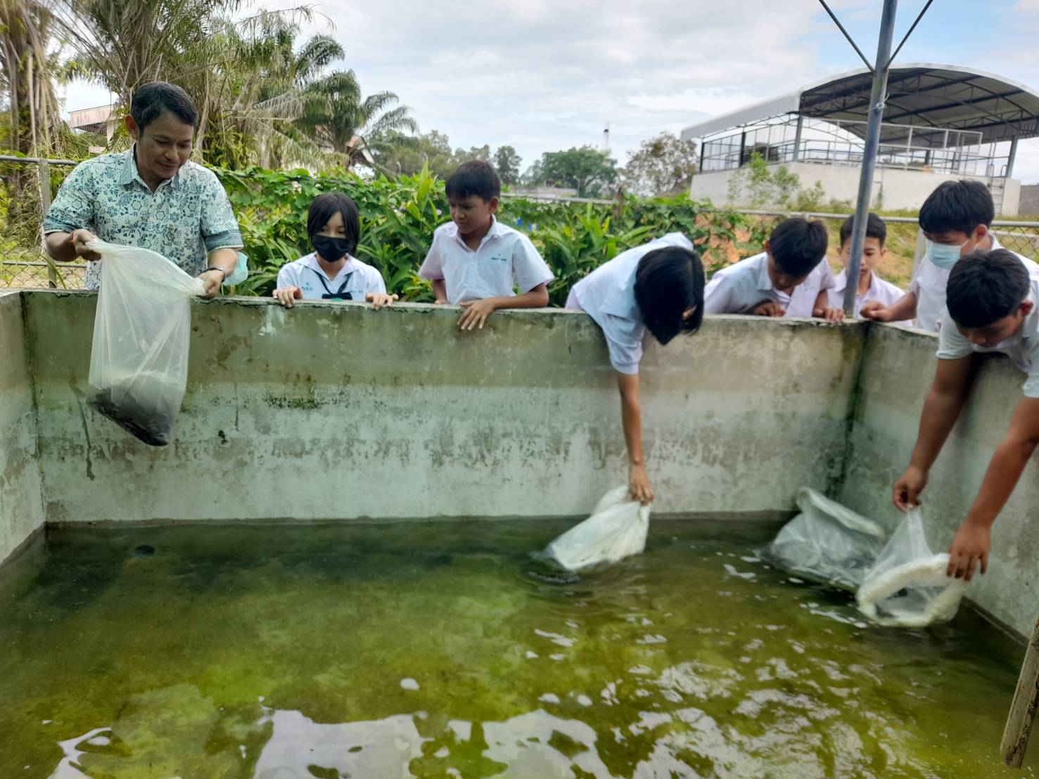 สำนักงานประมงจังหวัดพังงา โดย นายนิพนธ์ เสนอินทร์ หัวหน้ากลุ่มพัฒนาและส่งเสริมอาชีพการประมง พร้อมเจ้าหน้าที่ ลงพื้นที่ติดตามผลการดำเนินงานกิจกรรมการเลี้ยงปลาดุกบิ๊กอุยในบ่อซีเมนต์ ภายใต้โครงการส่งเสริมการดำเนินงานอันเนื่องมาจากพระราชดำริ สมเด็จพระกนิษฐาธิราชเจ้า กรมสมเด็จพระเทพรัตนราชสุดาฯ สยามบรมราชกุมารี (ประมงโรงเรียน) ประจำปีงบประมาณ พ.ศ. 2566 โดยได้ส่งมอบพันธุ์ปลาดุกบิ๊กอุยพร้อมอาหารแก่โรงเรียนพระราชทานทับละมุ ตำบลลำแก่น อำเภอท้ายเหมือง จังหวัดพังงา ทั้งนี้ ได้แนะนำเทคนิคการปรับอุณหภูมิน้ำก่อนปล่อยลูกปลาลงบ่อ วิธีการให้อาหารปลา วิธีลดความเครียดและรักษาแผลปลา เพื่อเสริมสร้างประสบการณ์จากการลงมือปฏิบัติจริงให้กับนักเรียนและครูผู้รับผิดชอบ..คลิก