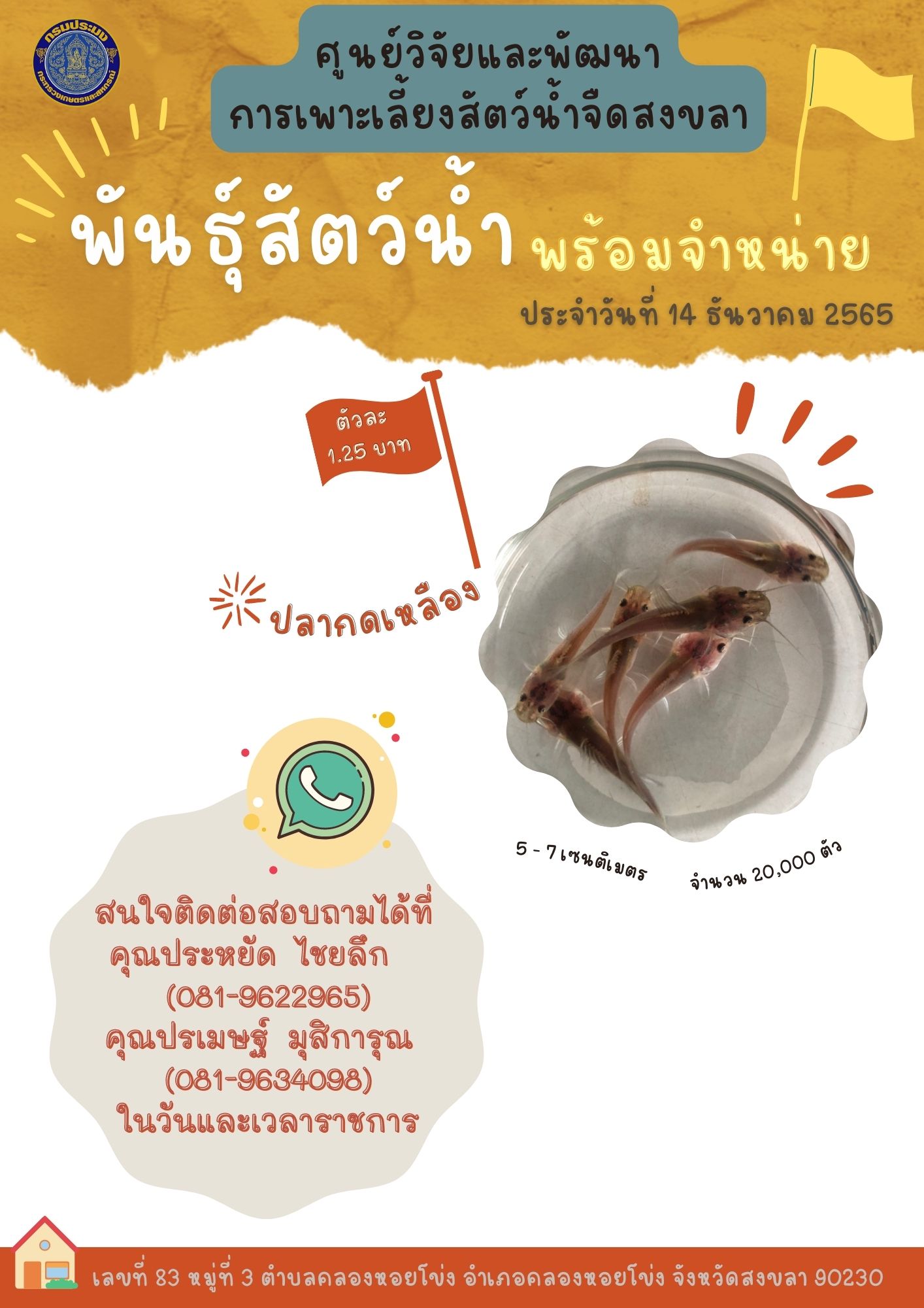 พันธุ์สัตว์น้ำพร้อมจำหน่าย