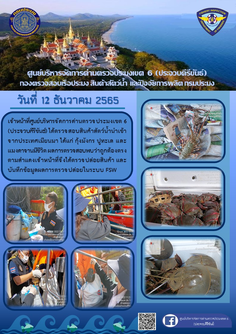 ตรวจสอบสินค้าสัตว์น้ำนำเข้าจากประเทศเมียนมา..คลิก