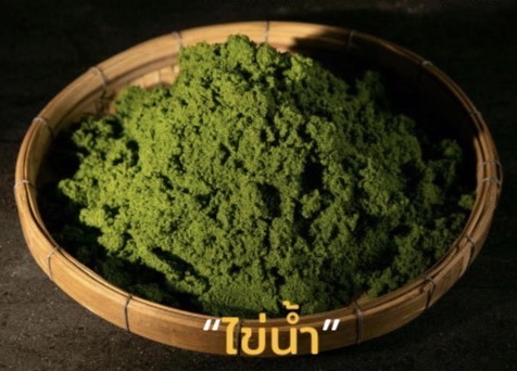 โปสเตอร์นิทรรศการ “การใช้ไข่น้ำ (ผำ) เพื่อการเลี้ยงสัตว์น้ำ”