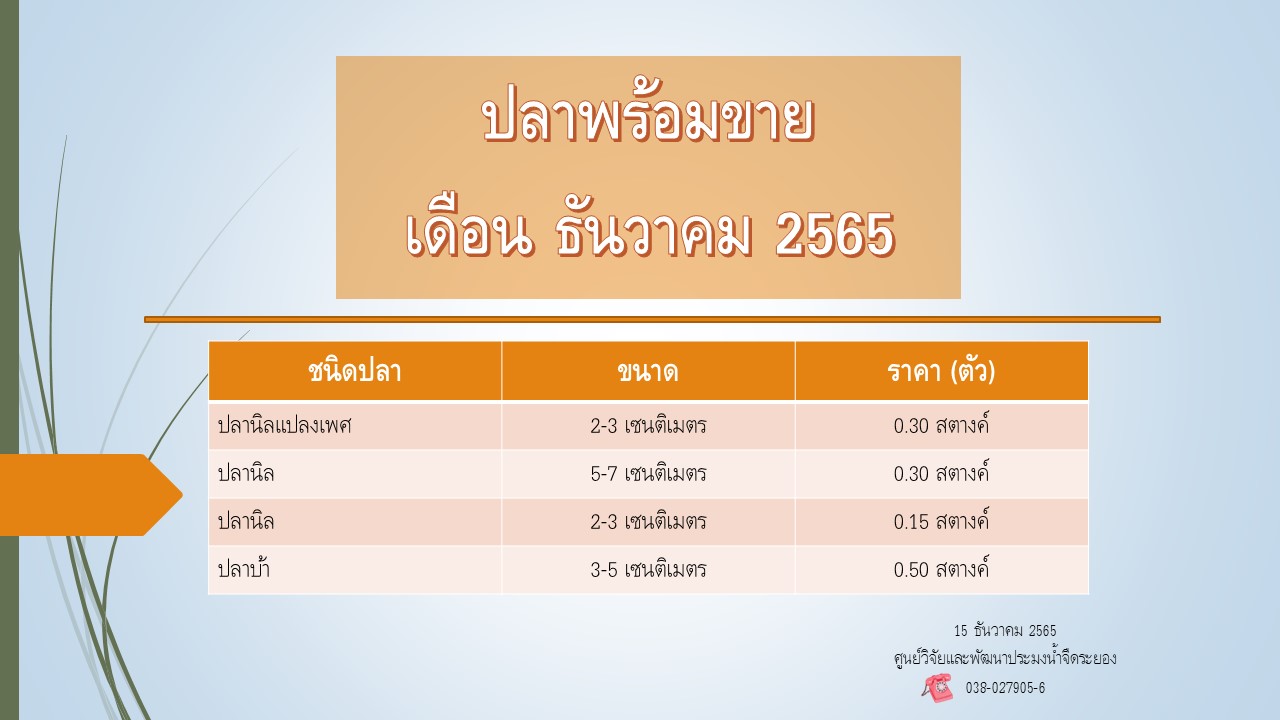 ปลาพร้อมขาย วันที่ 15 ธันวาคม 2565..คลิก