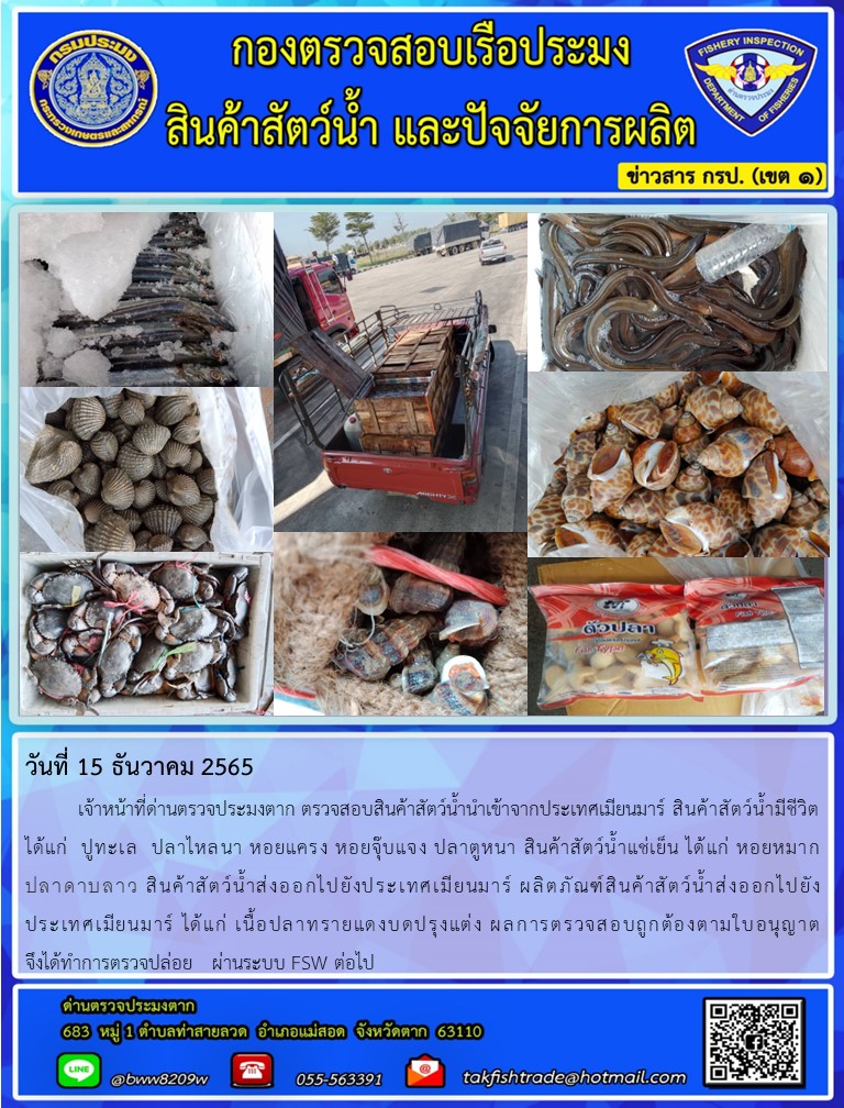 วันที่ 15 ธันวาคม 2565   	เจ้าหน้าที่ด่านตรวจประมงตาก ตรวจสอบสินค้าสัตว์น้ำนำเข้าจากประเทศเมียนมาร์ สินค้าสัตว์น้ำมีชีวิต ได้แก่  ปูทะเล  ปลาไหลนา หอยแครง หอยจุ๊บแจง ปลาตูหนา สินค้าสัตว์น้ำแช่เย็น ได้แก่ หอยหมาก         ปลาดาบลาว สินค้าสัตว์น้ำส่งออกไปยังประเทศเมียนมาร์ ผลิตภัณฑ์สินค้าสัตว์น้ำส่งออกไปยัง              ประเทศเมียนมาร์ ได้แก่ เนื้อปลาทรายแดงบดปรุงแต่ง ผลการตรวจสอบถูกต้องตามใบอนุญาต      จึงได้ทำการตรวจปล่อย   ผ่านระบบ FSW ต่อไป..คลิก