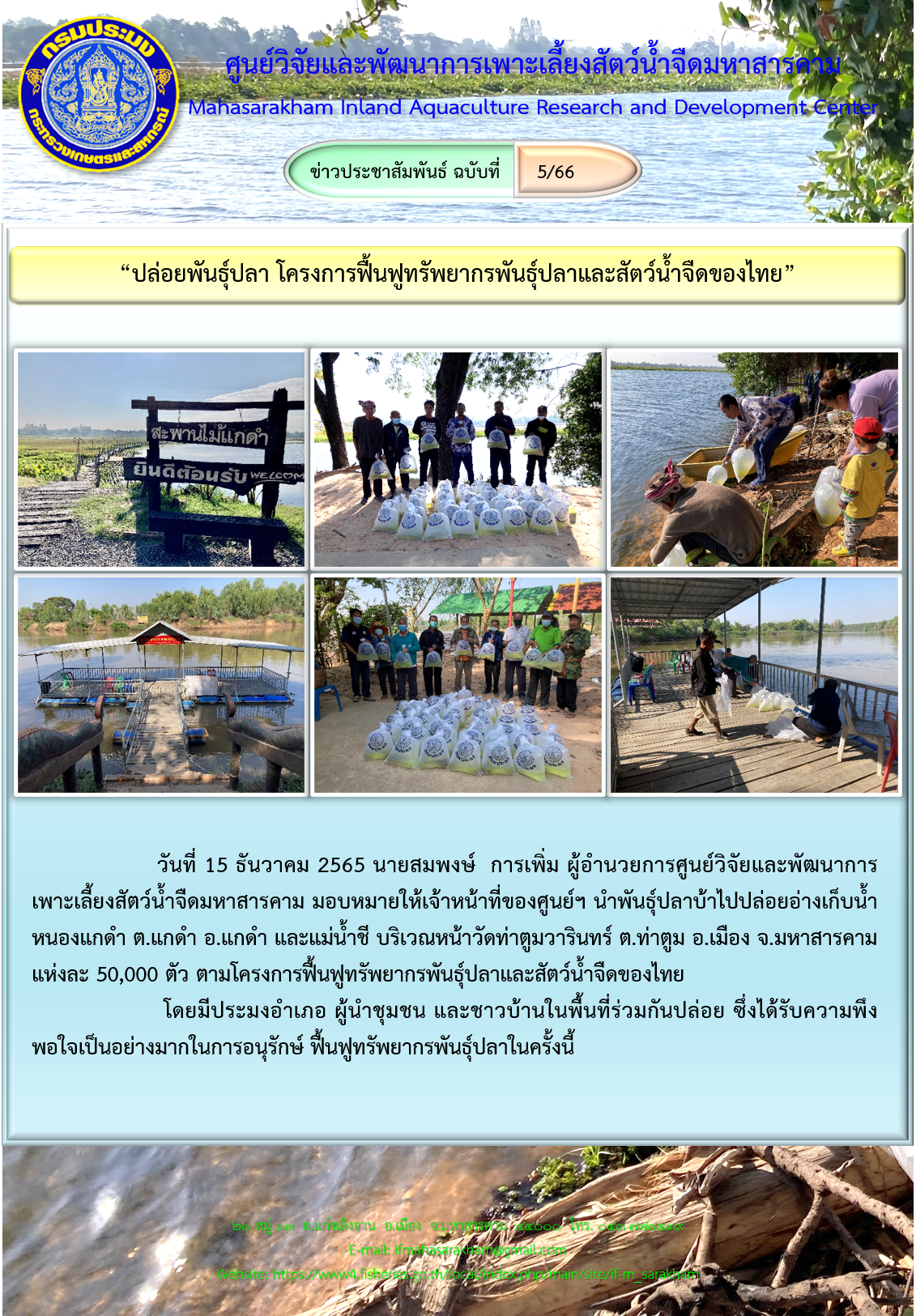 “ปล่อยพันธุ์ปลา โครงการฟื้นฟูทรัพยากรพันธุ์ปลาและสัตว์น้ำจืดของไทย”..คลิก