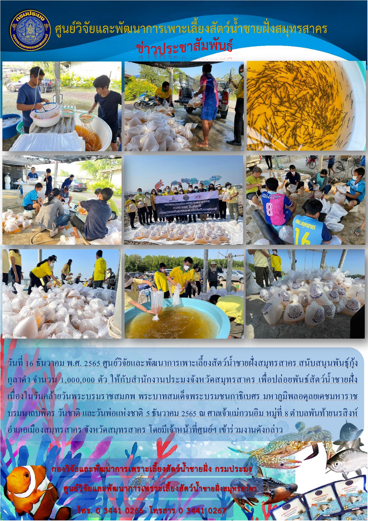 สนับสนุนพันธุ์กุ้งกุลาดำ จำนวน 1,000,000 ตัว ให้กับสำนักงานประมงจังหวัดสมุทรสาคร..คลิก