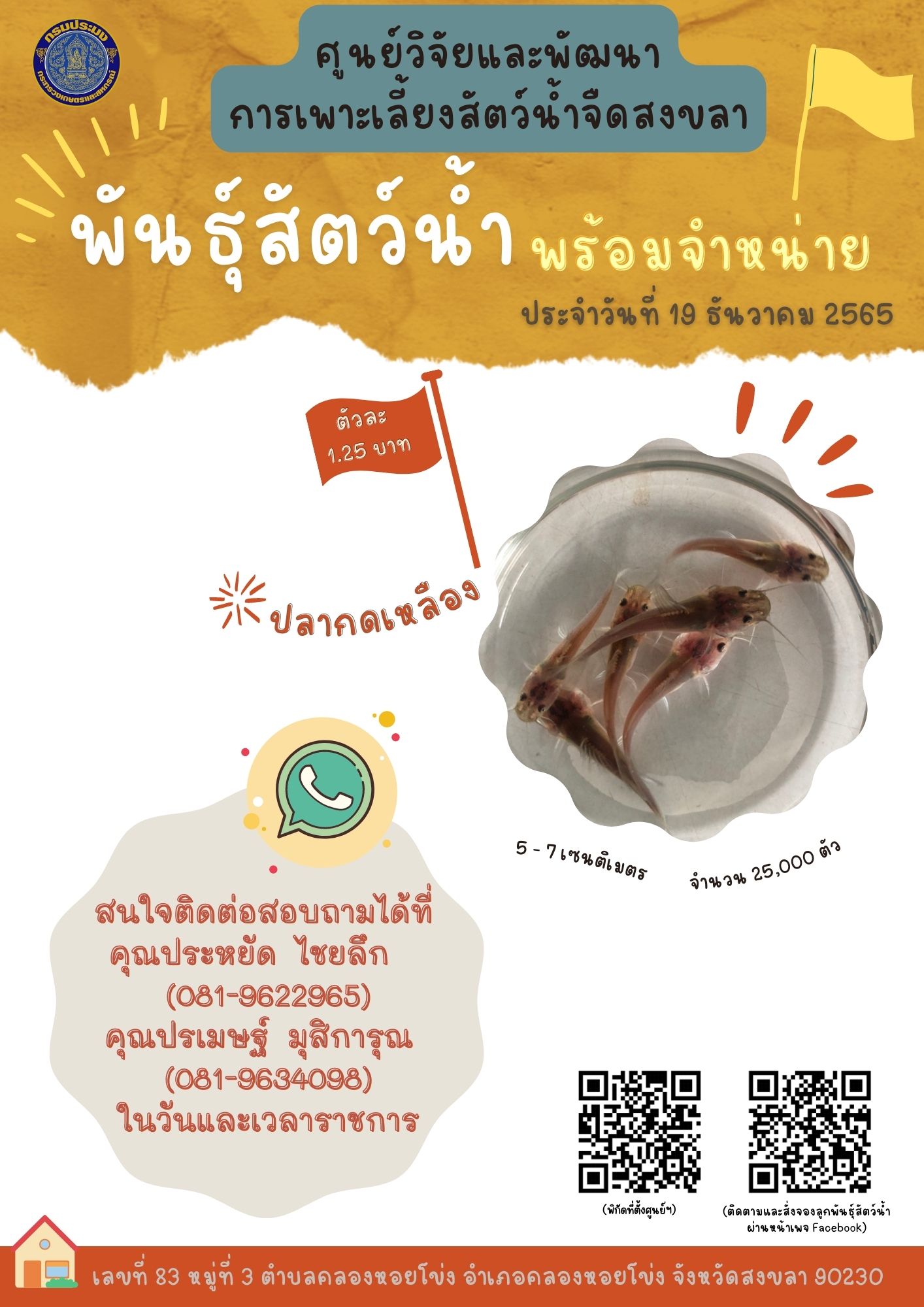 พันธุ์สัตว์น้ำพร้อมจำหน่าย
