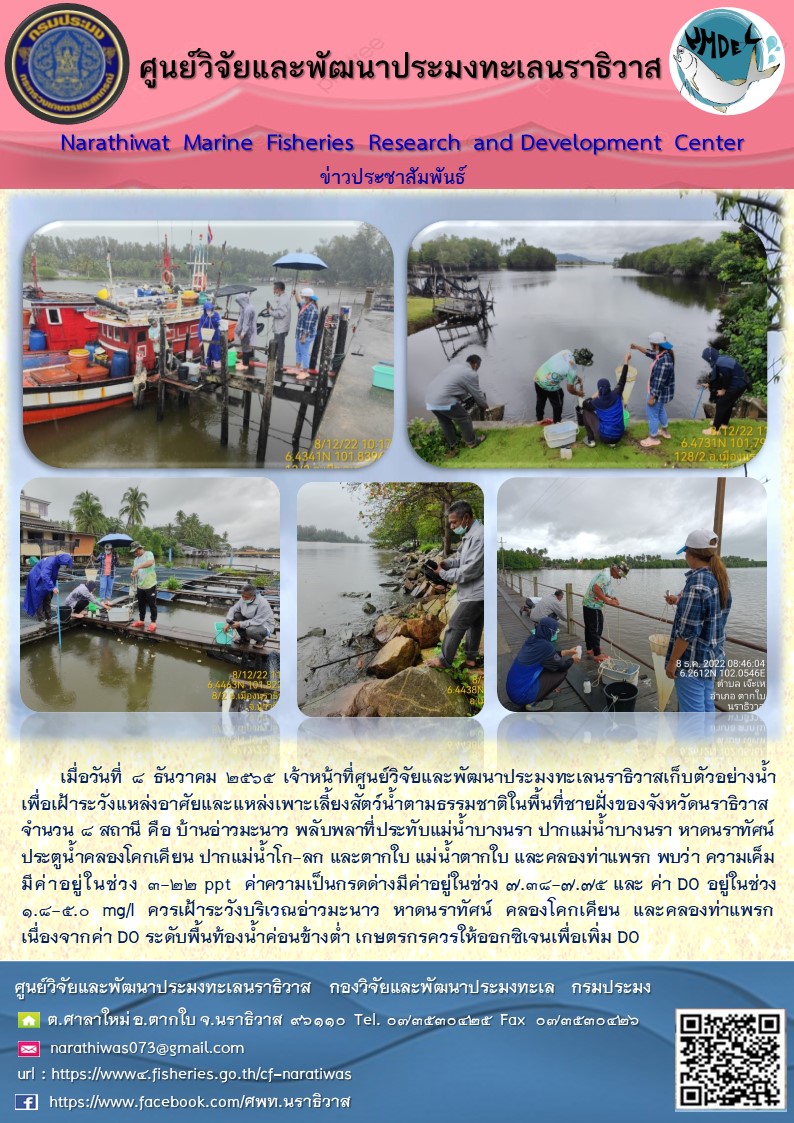 เมื่อวันที่ 8 ธันวาคม 2565 เจ้าหน้าที่ศูนย์วิจัยและพัฒนาประมงทะเลนราธิวาสเก็บตัวอย่างน้ำเพื่อเฝ้าระวังแหล่งอาศัยและแหล่งเพาะเลี้ยงสัตว์น้ำตามธรรมชาติในพื้นที่ชายฝั่งของจังหวัดนราธิวาส จำนวน 8 สถานี คือ บ้านอ่าวมะนาว พลับพลาที่ประทับแม่น้ำบางนรา ปากแม่น้ำบางนรา หาดนราทัศน์ ประตูน้ำคลองโคกเคียน ปากแม่น้ำโล-ลก และตากใบ แม่น้ำตากใบ และคลองท่าแพรก พบว่า ความเค็มมีค่าอยู่ในช่วง 3-22 ppt ค่าความเป็นกรดด่างมีค่าอยู่ในช่วง 7.38-7.75 และ ค่า DO อยู่ในช่วง 1.8-5.0 mg/l ควรเฝ้าระวังบริเวณอ่าวมะนาว หาดนราทัศน์ คลองโคกเคียน และคลองท่าแพรก เนื่องจากค่า DO ระดับพื้นท้องน้ำค่อนข้างต่ำ เกษตรกรควรให้ออกซฺเจนเพื่อเพิ่ม DO..คลิก