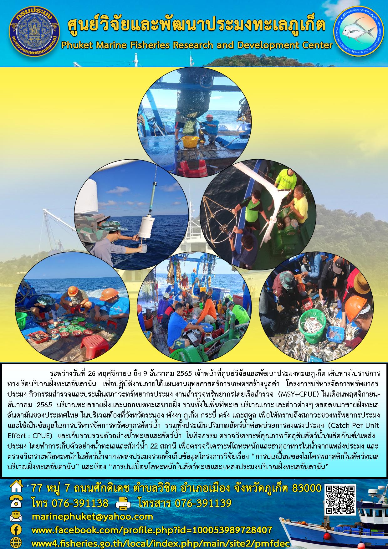 ระหว่างวันที่ 26 พฤศจิกายน ถึง 9 ธันวาคม 2565 เจ้าหน้าที่ศูนย์วิจัยและพัฒนาประมงทะเลภูเก็ต เดินทางไปราชการทางเรือบริเวณฝั่งทะเลอันดามัน เพื่อปฏิบัติงานภายใต้แผนงานยุทธศาสตร์การเกษตรสร้างมูลค่า โครงการบริหารจัดการทรัพยากรประมง กิจกรรมสำรวจและประเมินสภาวะทรัพยากรประมง งานสำรวจทรัพยากรโดยเรือสำรวจ (MSY+CPUE) ในเดือนพฤศจิกายน-ธันวาคม 2565 บริเวณทะเลชายฝั่งและนอกเขตทะเลชายฝั่ง รวมทั้งพื้นที่ในทะเลชาย บริเวณเกาะและอ่าวต่างๆ ตลอดแนวชายฝั่งทะเลอันดามันของไทย ในบริเวณท้องที่จังหวัดระนอง พังงา ภูเก็ต กระบี่ ตรัง และสตูล เพื่อให้ทราบถึงสภาวะของทรัพยากรประมงและใช้เป็นข้อมูลในการบริหารจัดการทรัพยากรสัตว์น้ำ ในกิจกรม ตรวจวิเคราะห์คุณภาพวัตถุดิบสัตว์น้ำ/ผลิตภัณฑ์/แหล่งประมง โดยทำการเก็บตัวอย่างน้ำทะเลและสัตว์น้ำ 22 สถานี เพื่อตรวจวิเคราะห์โลหะหนักและธาตุอาหารในน้ำจากแหล่งประมง และวิเคราะห์โลหะหนักในสัตว์น้ำจากแหล่งประมงรวมทั้งเก็บข้อมูลโครงการวิจัยเรื่อง “การปนเปื้อนของไมโครพลาสติกในสัตว์ทะเลบริเวณฝั่งทะเลอันดามัน” และเรื่อวง “การปนเปื้อนโลหะหนักในสัตว์ทะเลและแหล่งประมงบริเวณฝั่งทะเลอันดามัน”..คลิก