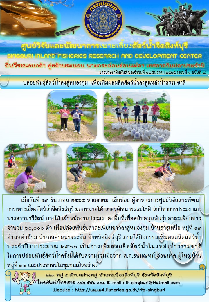 ปล่อยพันธุ์สัตว์น้ำลงสู่หนองกุ่ม เพื่อเพิ่มผลผลิตสัตว์น้ำลงสู่แหล่งน้ำธรรมชาติ..คลิก