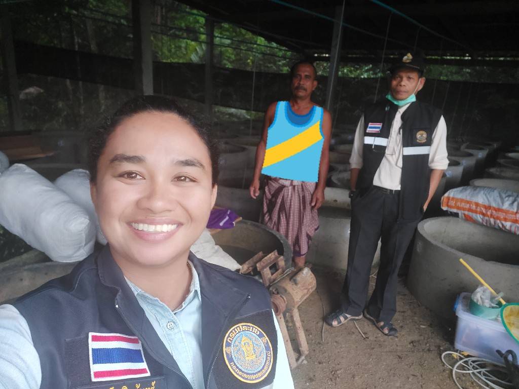 ประมงอำเภอตะโหมด ตรวจติดตามสถานการณ์ภัยพิบัติกรณีฉุกเฉิน (อุทกภัย) เกษตรกรผู้เพาะเลี้ยงสัตว์น้ำ (ปลาในกระชัง) และตรวจเยี่ยมฟาร์มสัตว์น้ำใกล้สูญพันธุ์จากเเห่งน้ำธรรมชาติ เพื่อการส่งออก..คลิก