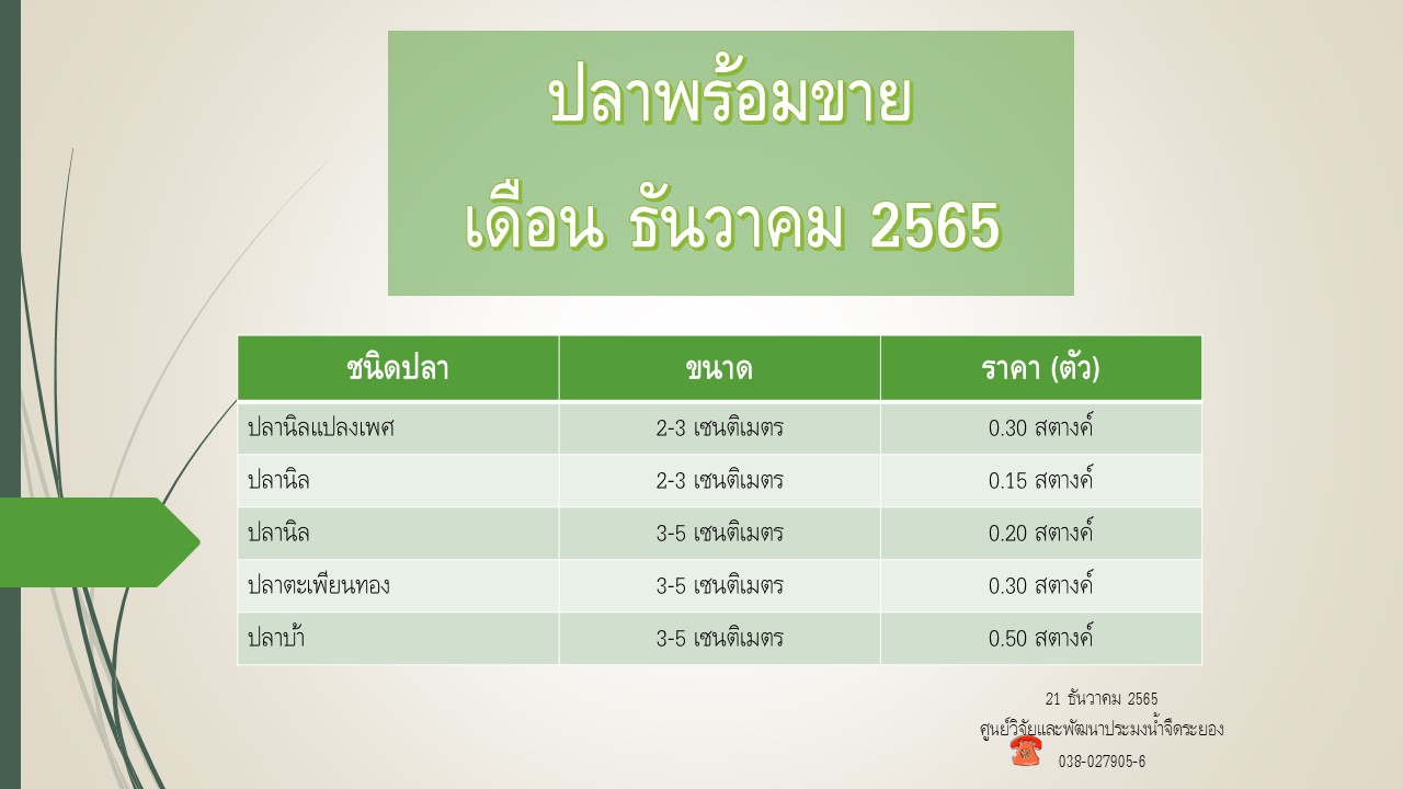 ปลาพร้อมขาย วันที่ 21 ธันวาคม 2565..คลิก