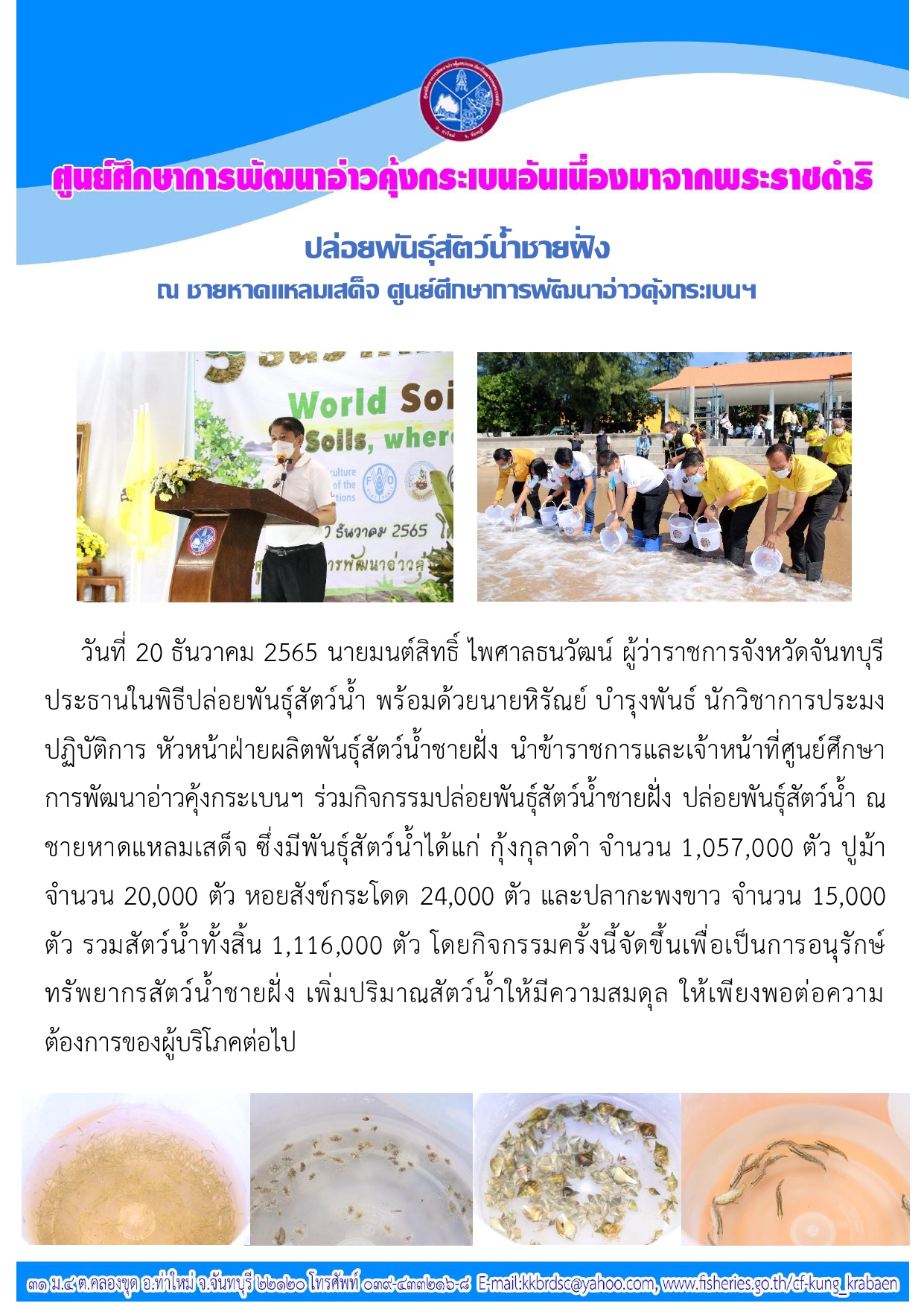 ปล่อยพันธุ์สัตว์น้ำชายฝั่ง ณ ชายหาดแหลมเสด็จ ต.คลองขุด อ.ท่าใหม่ จ.จันทบุรี