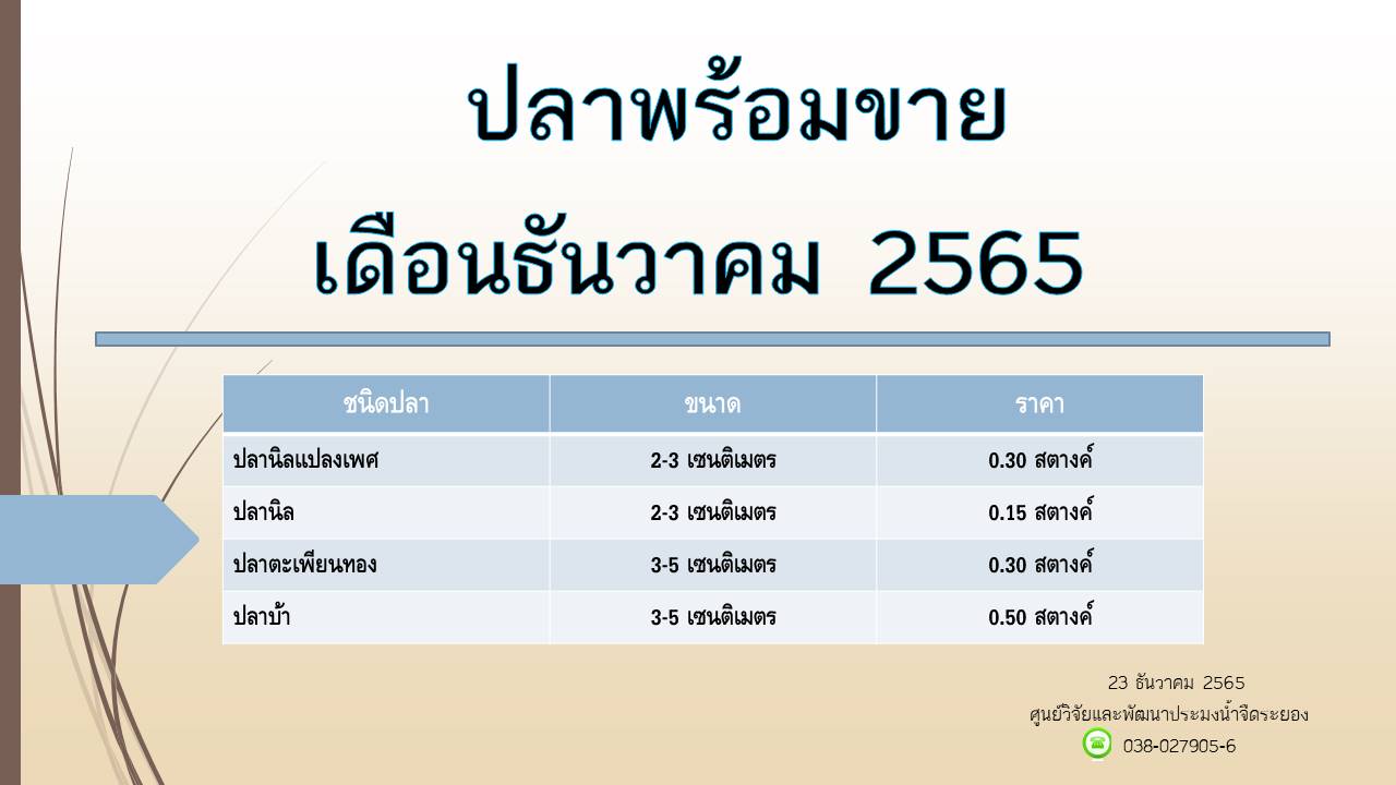ปลาพร้อมขาย วันที่ 23 ธันวาคม 2565..คลิก